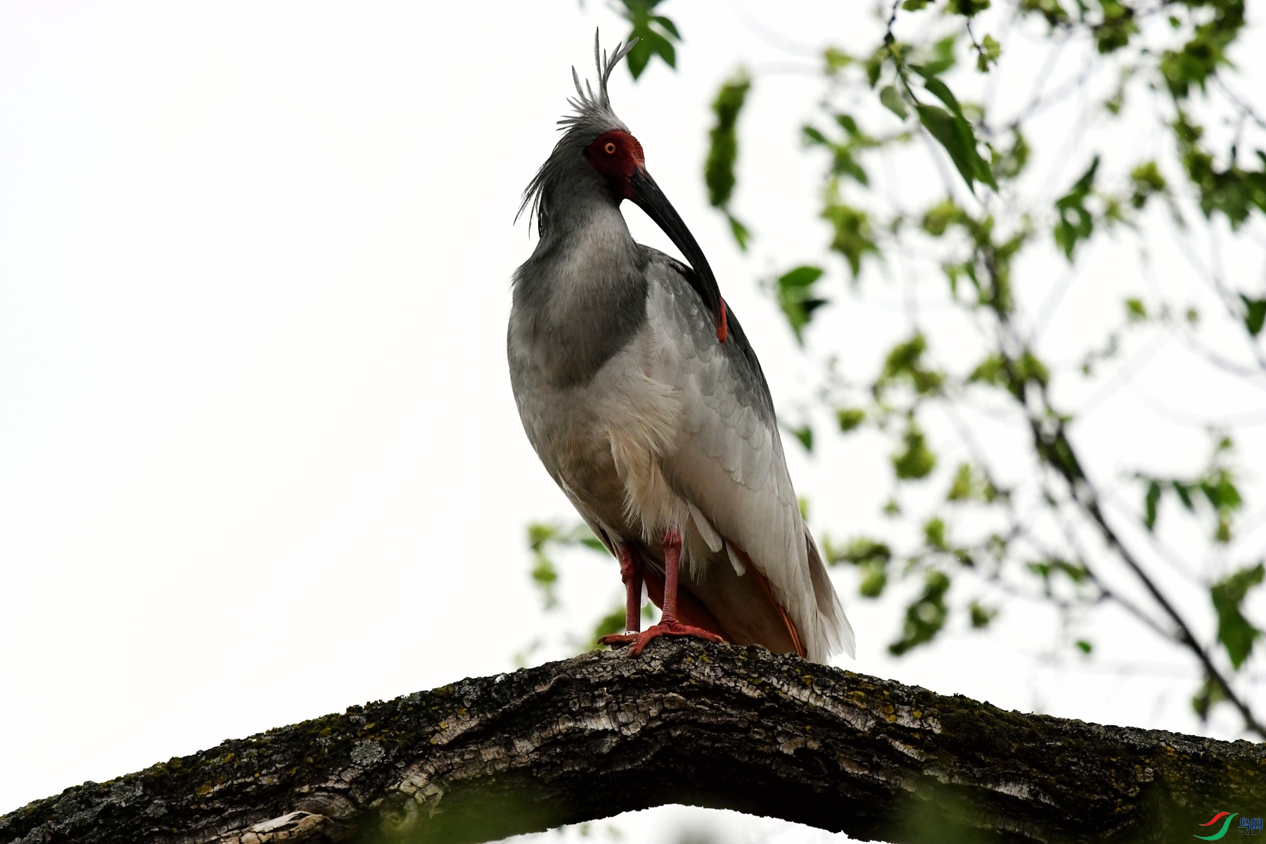 DSC_7555_����.jpg