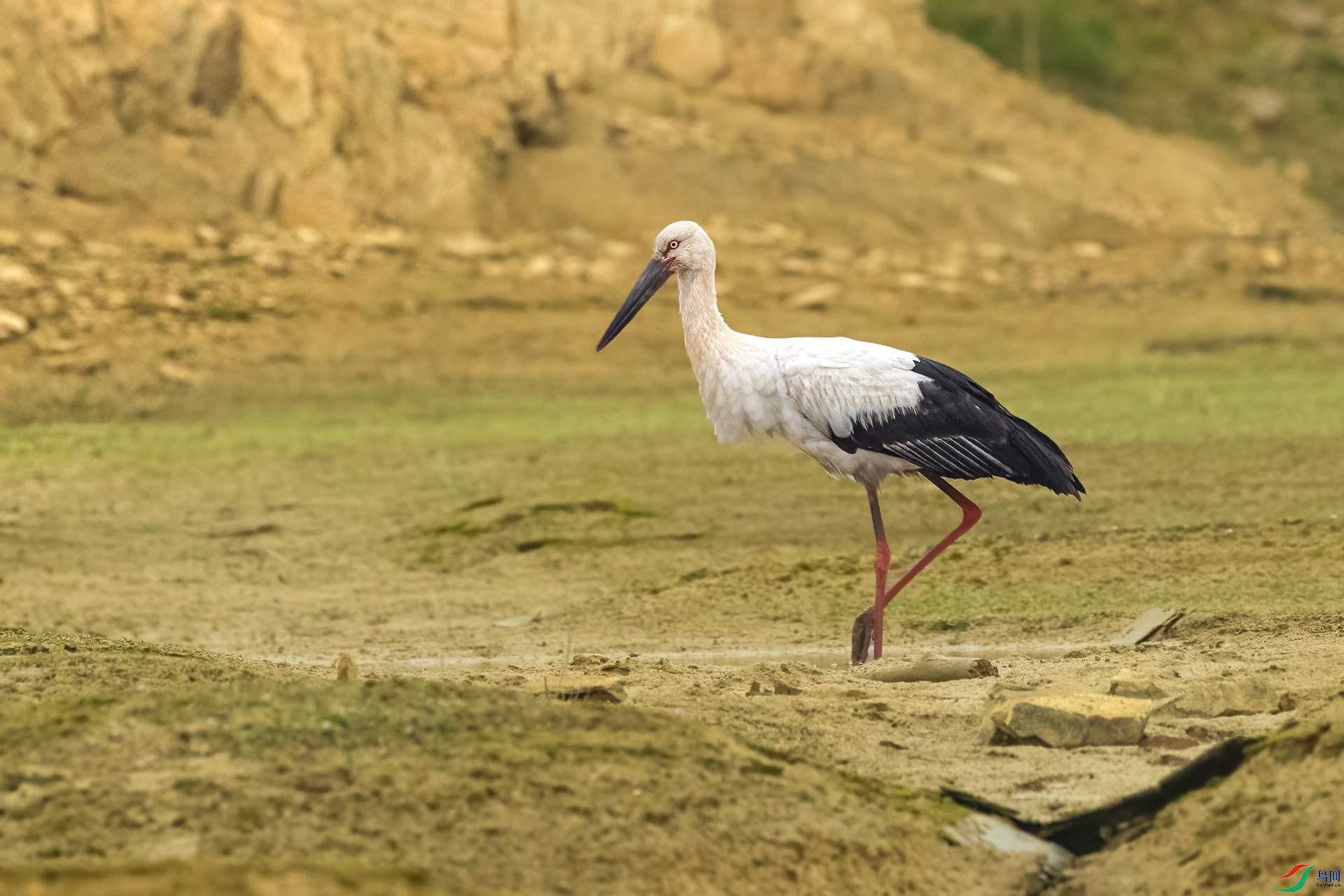 B86I8143 _����.jpg