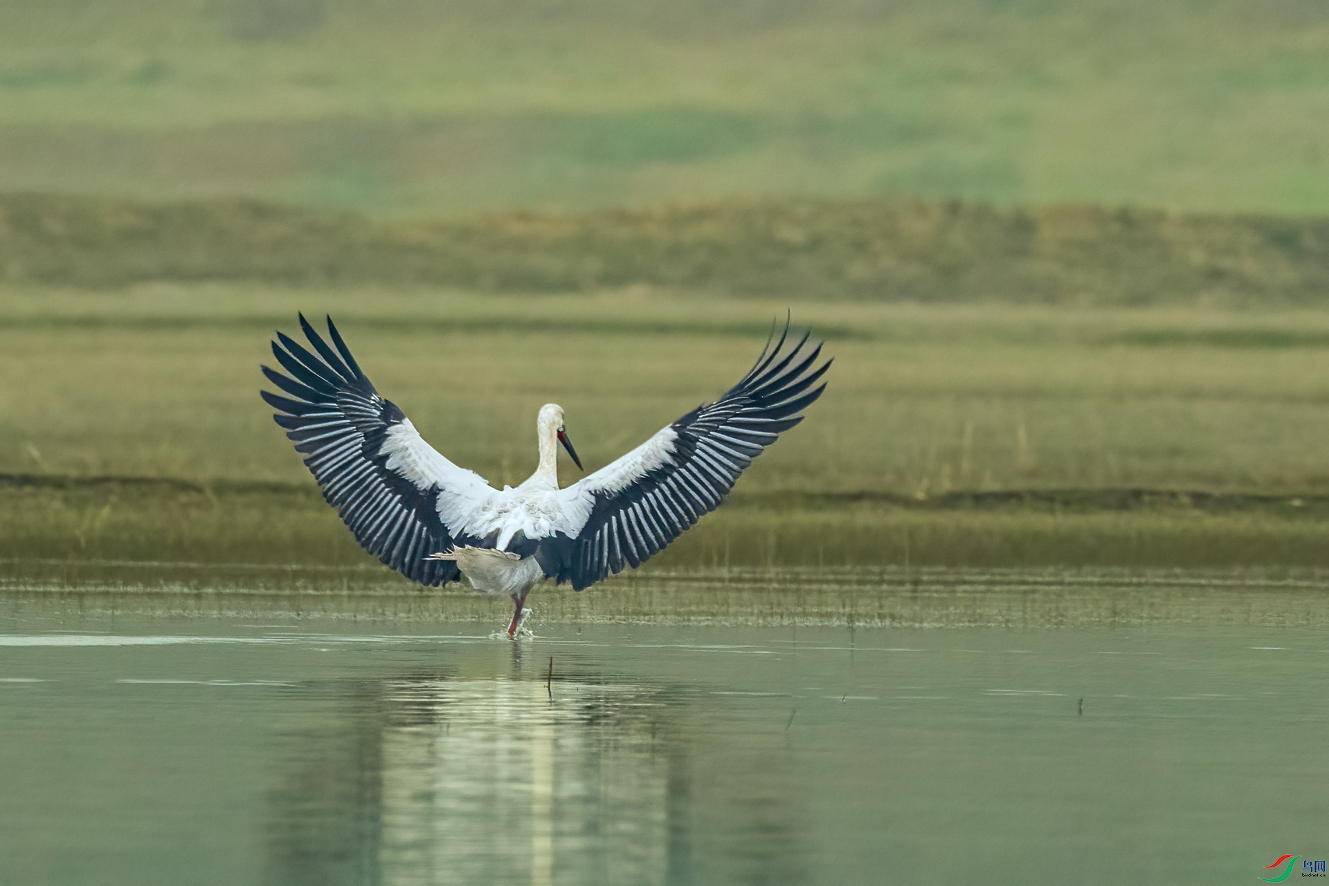 B86I8314 _����.jpg