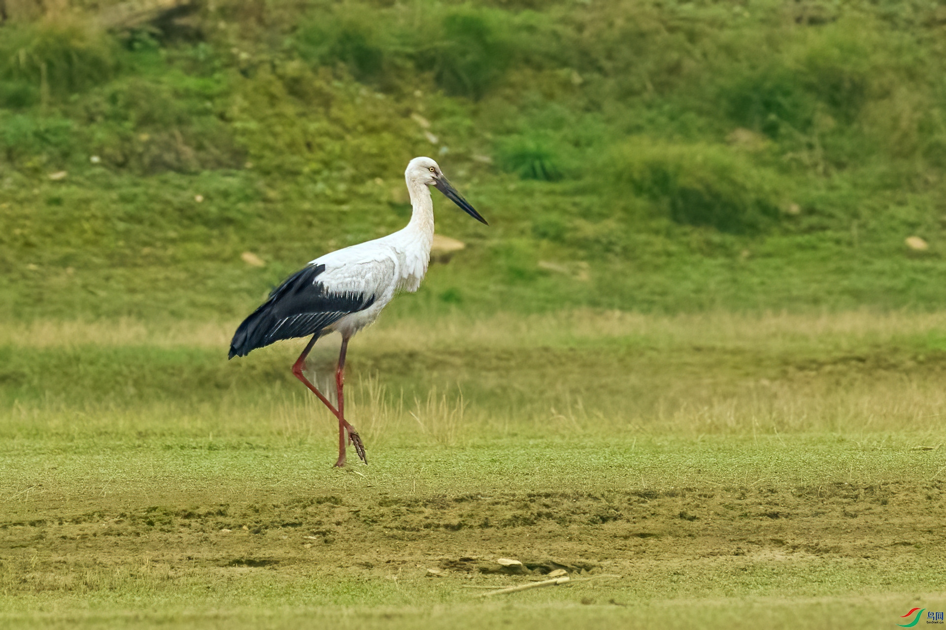 B86I8222 _����.jpg