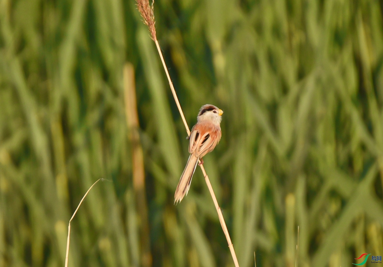 DSC_6282f_��ͼ��.jpg