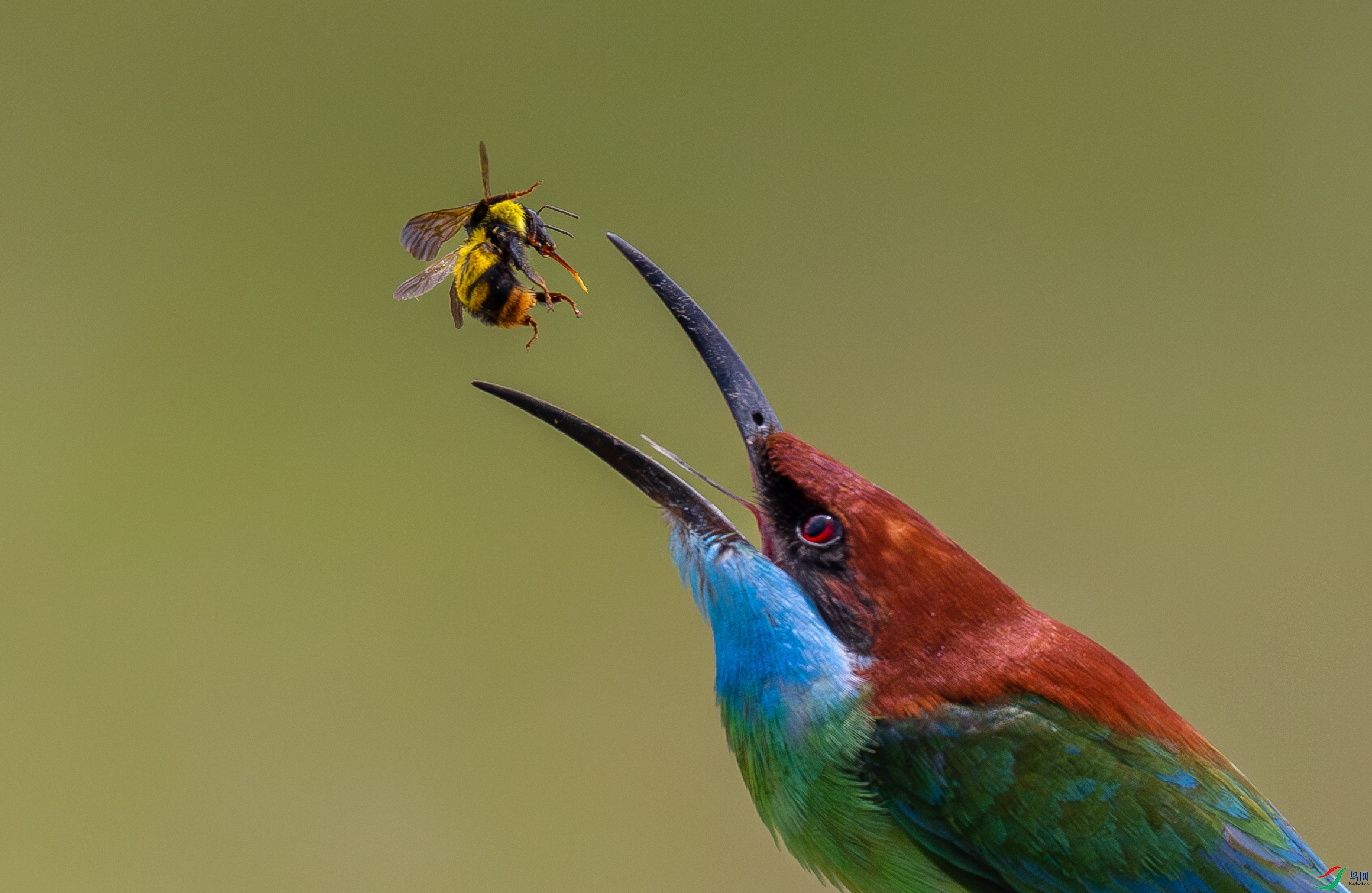 ��ͼ3083A7243.jpg
