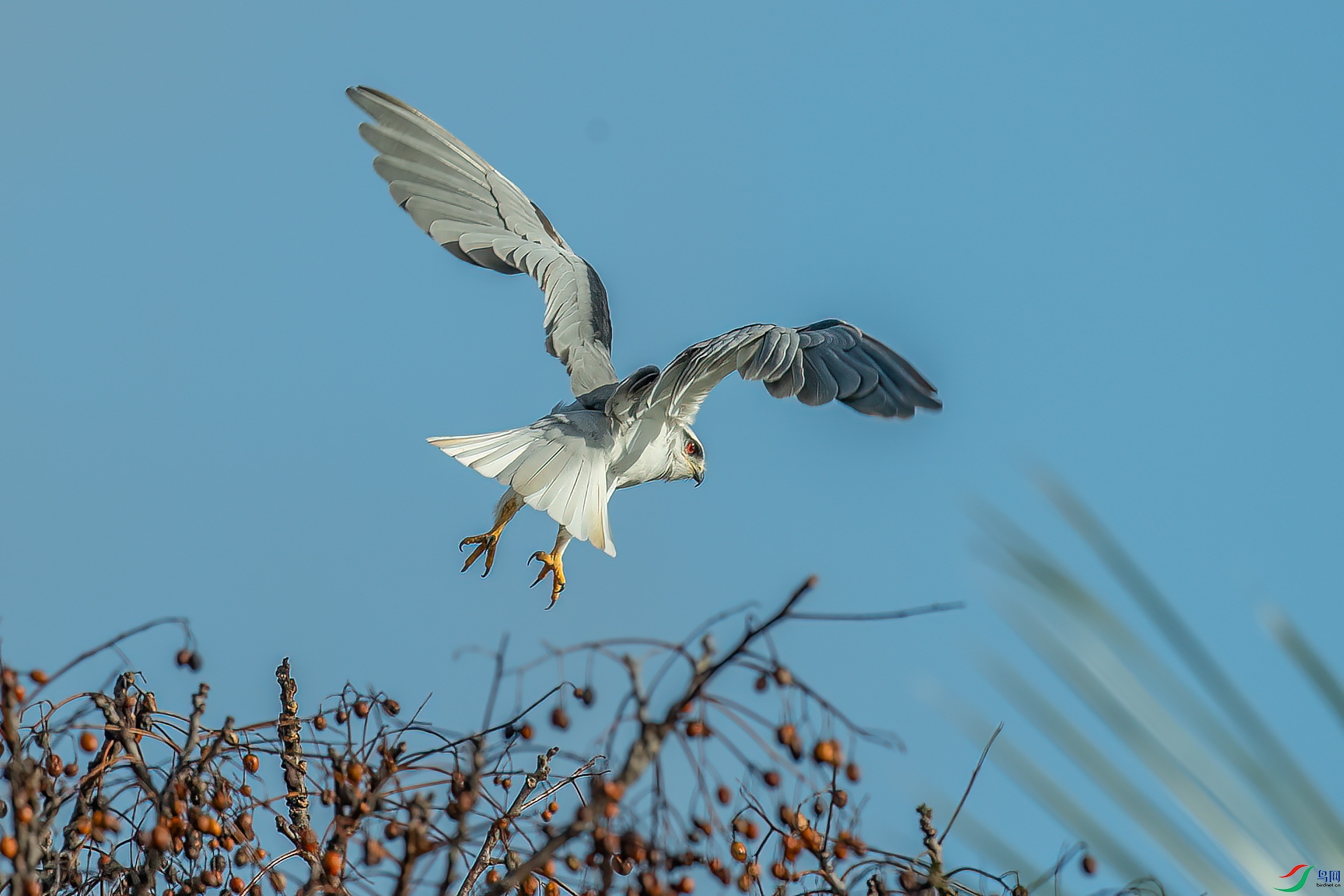 DSC_6862.jpg
