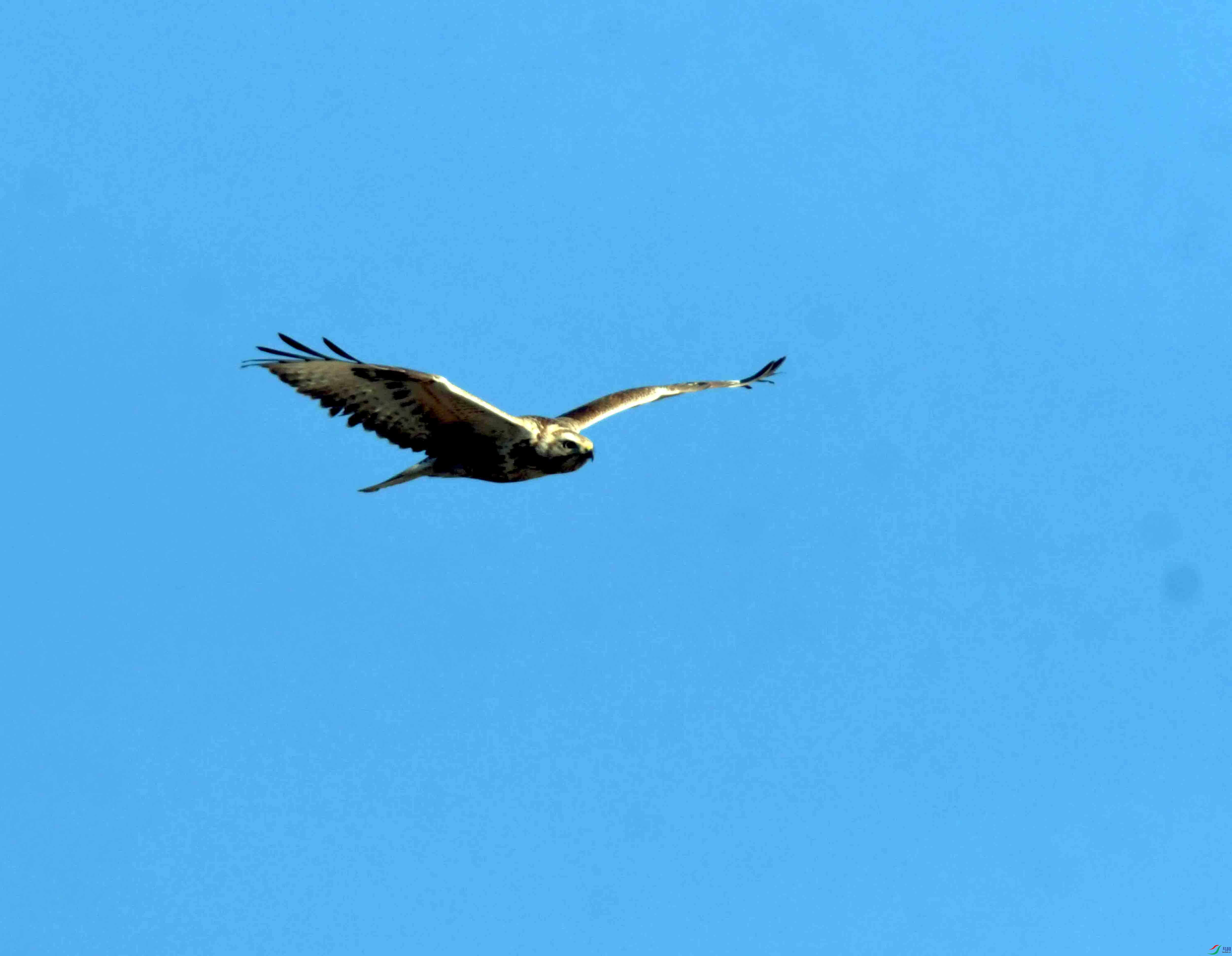 DSC_2589.JPG