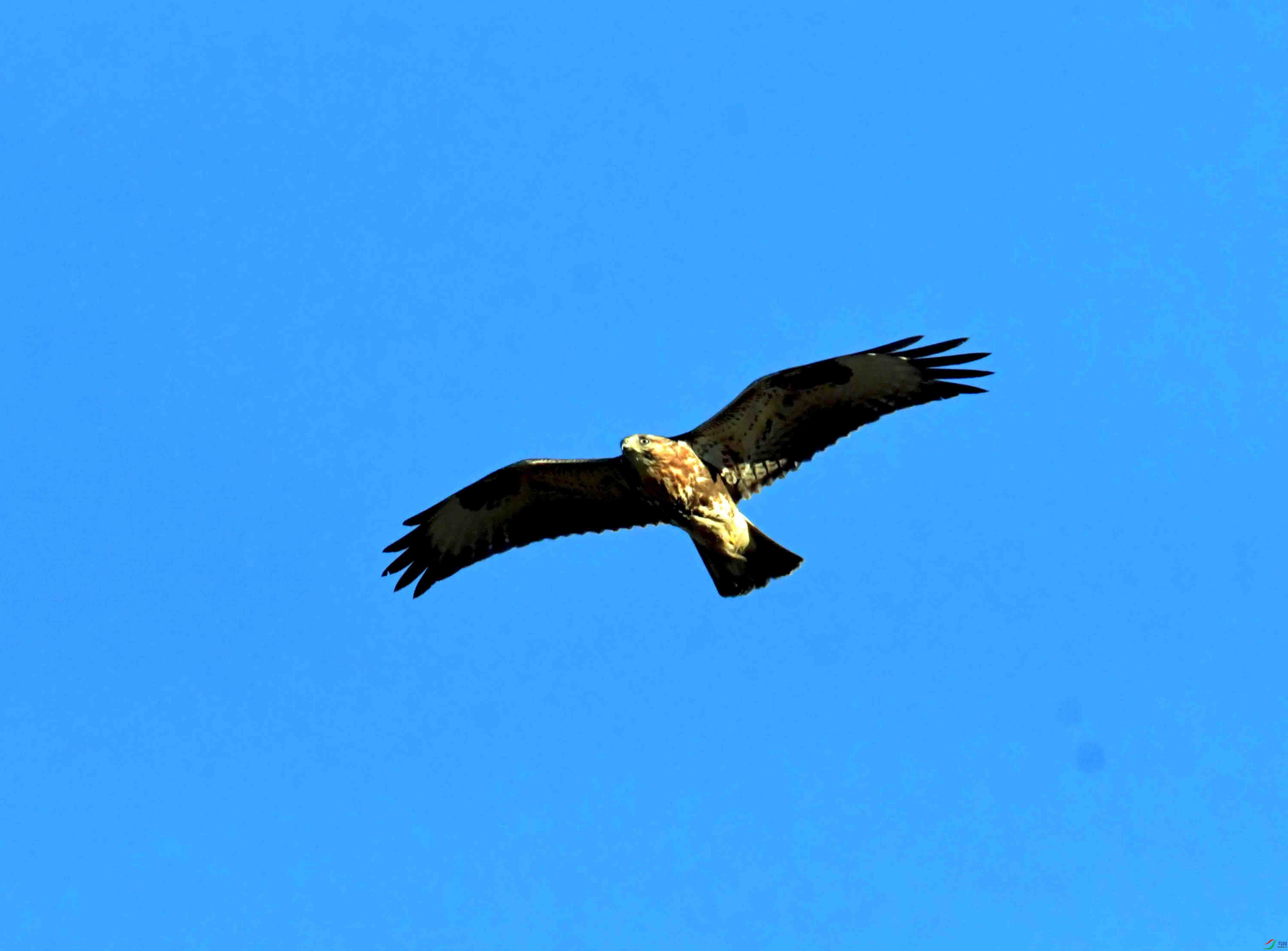 DSC_2955.JPG
