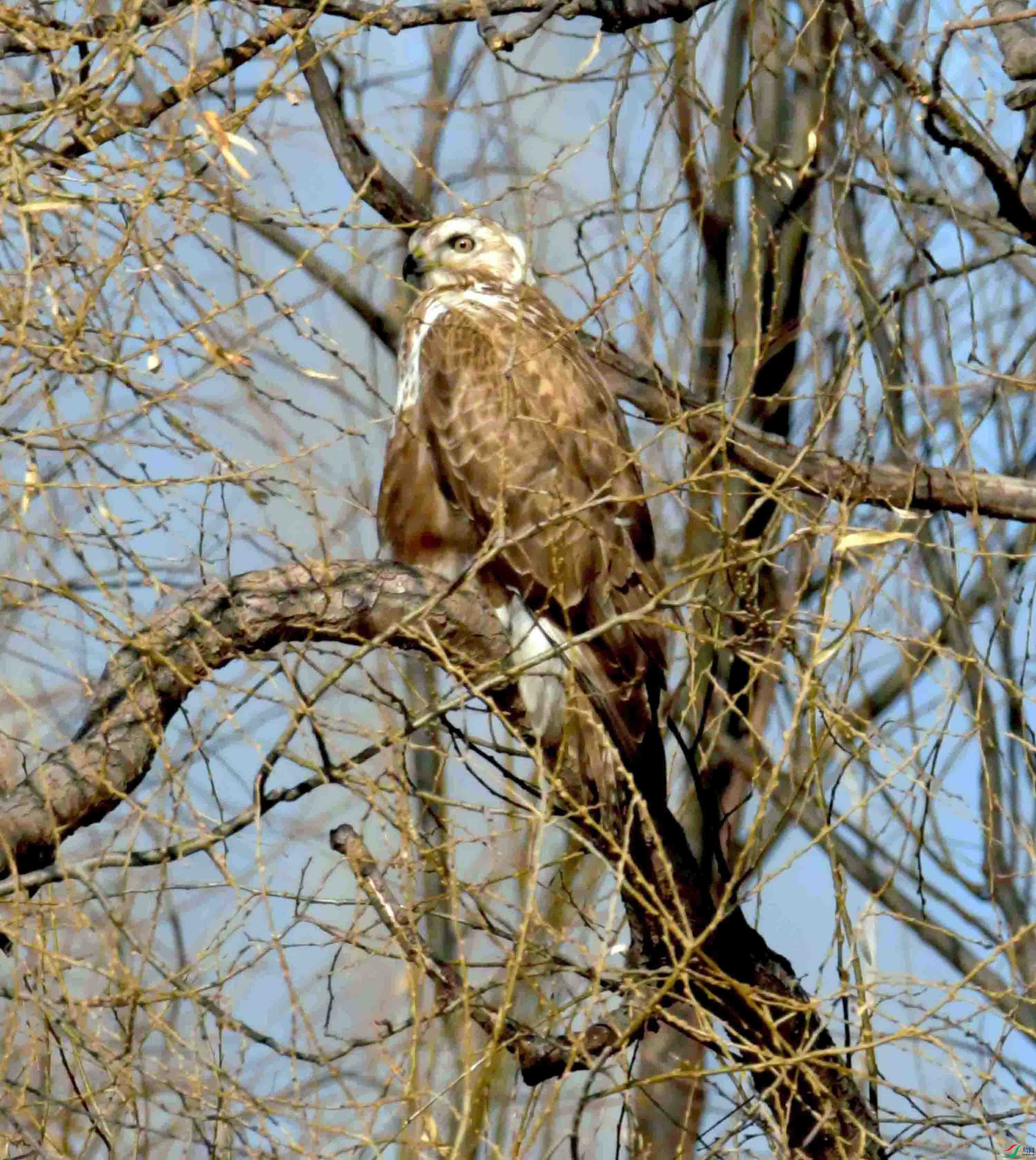 DSC_2904.JPG