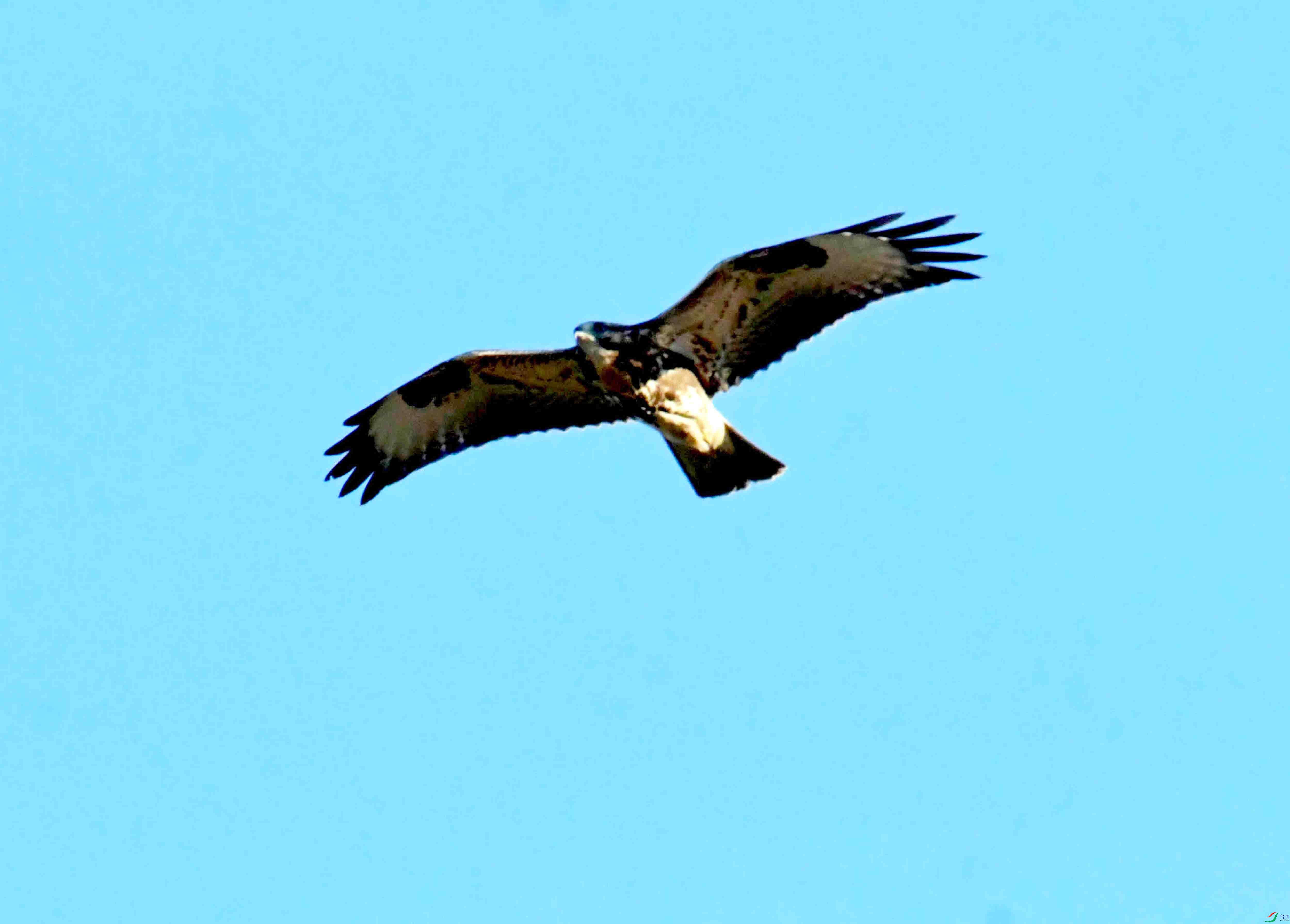 DSC_2957.JPG