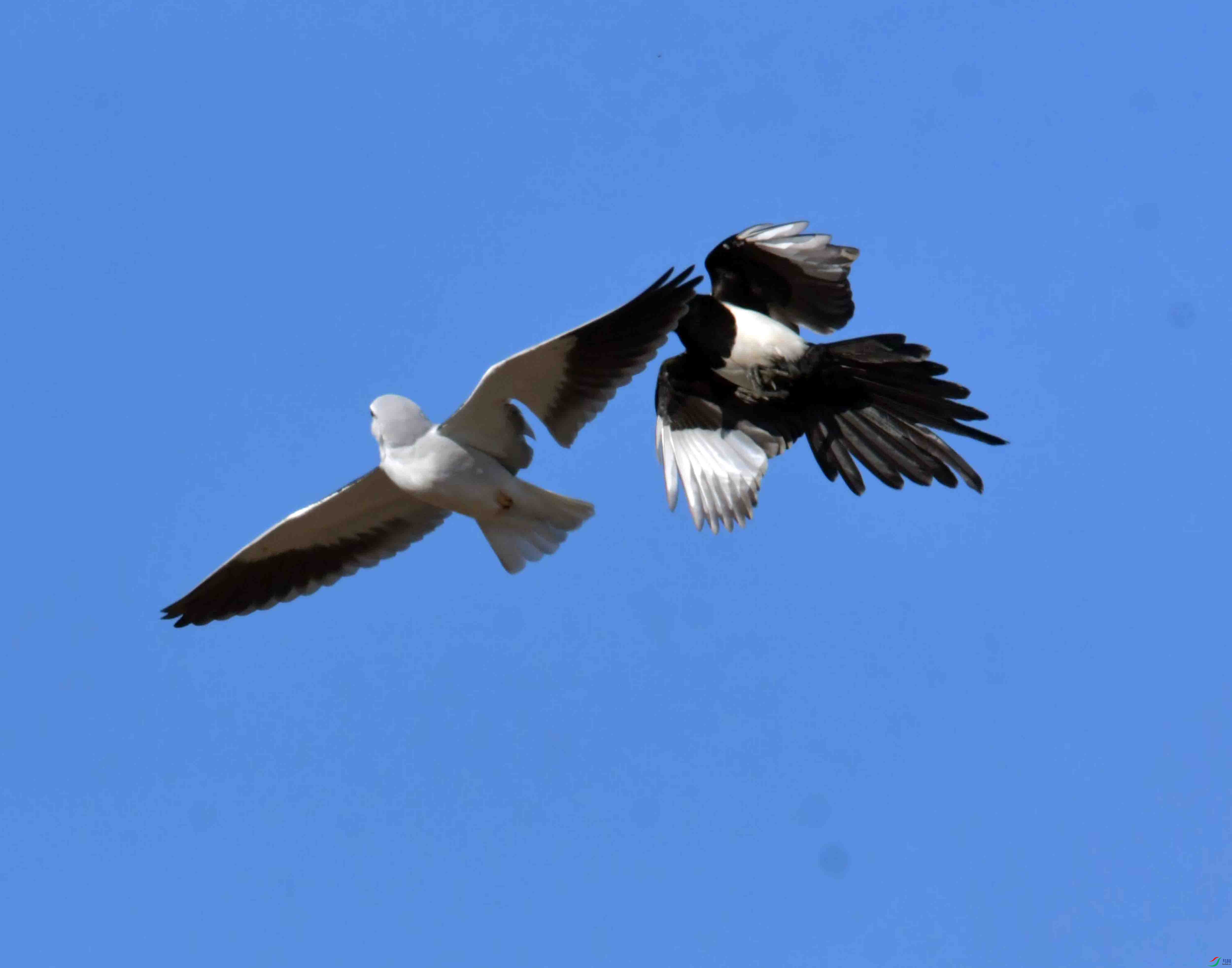 DSC_0982.JPG
