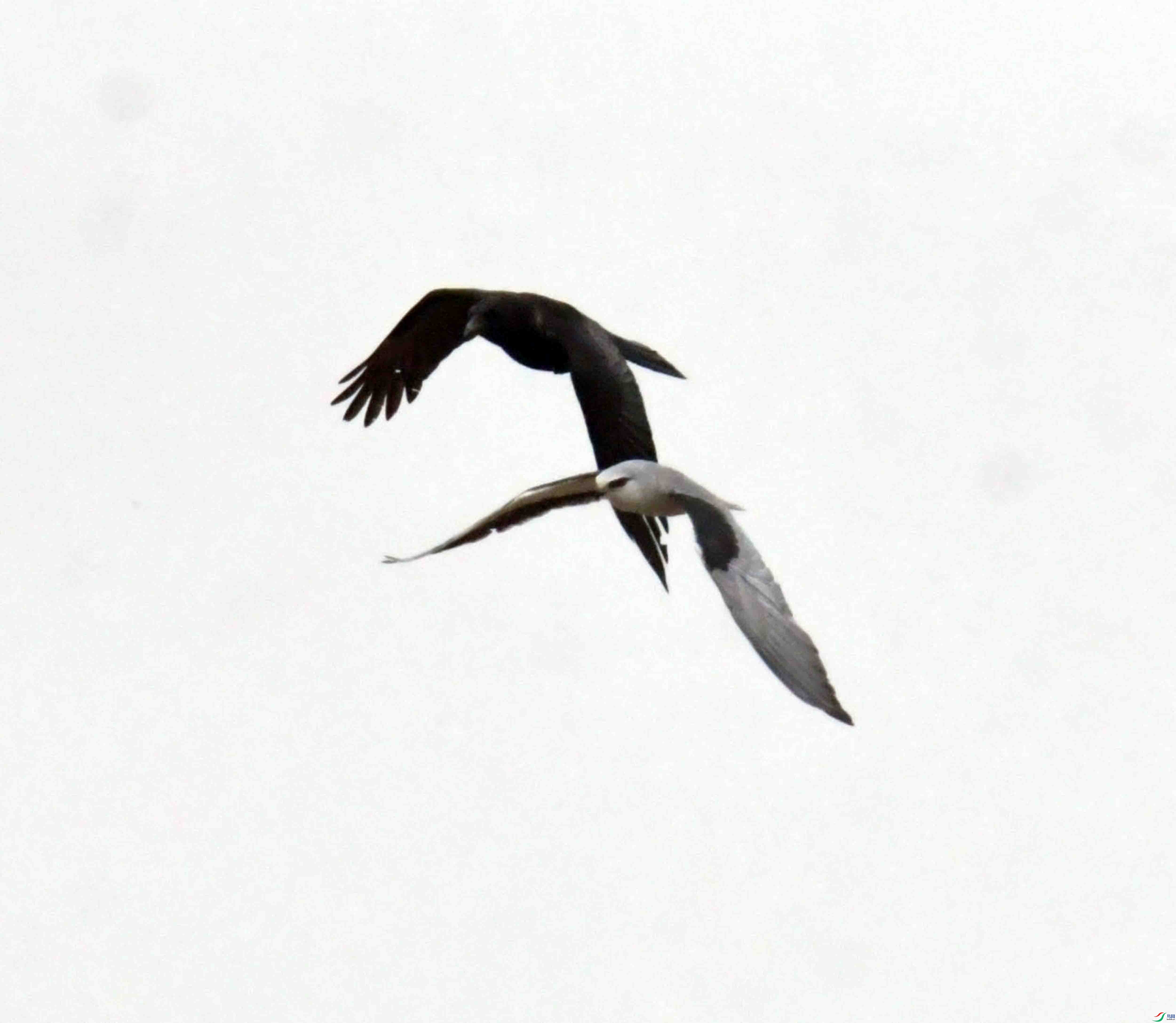 DSC_8437.JPG