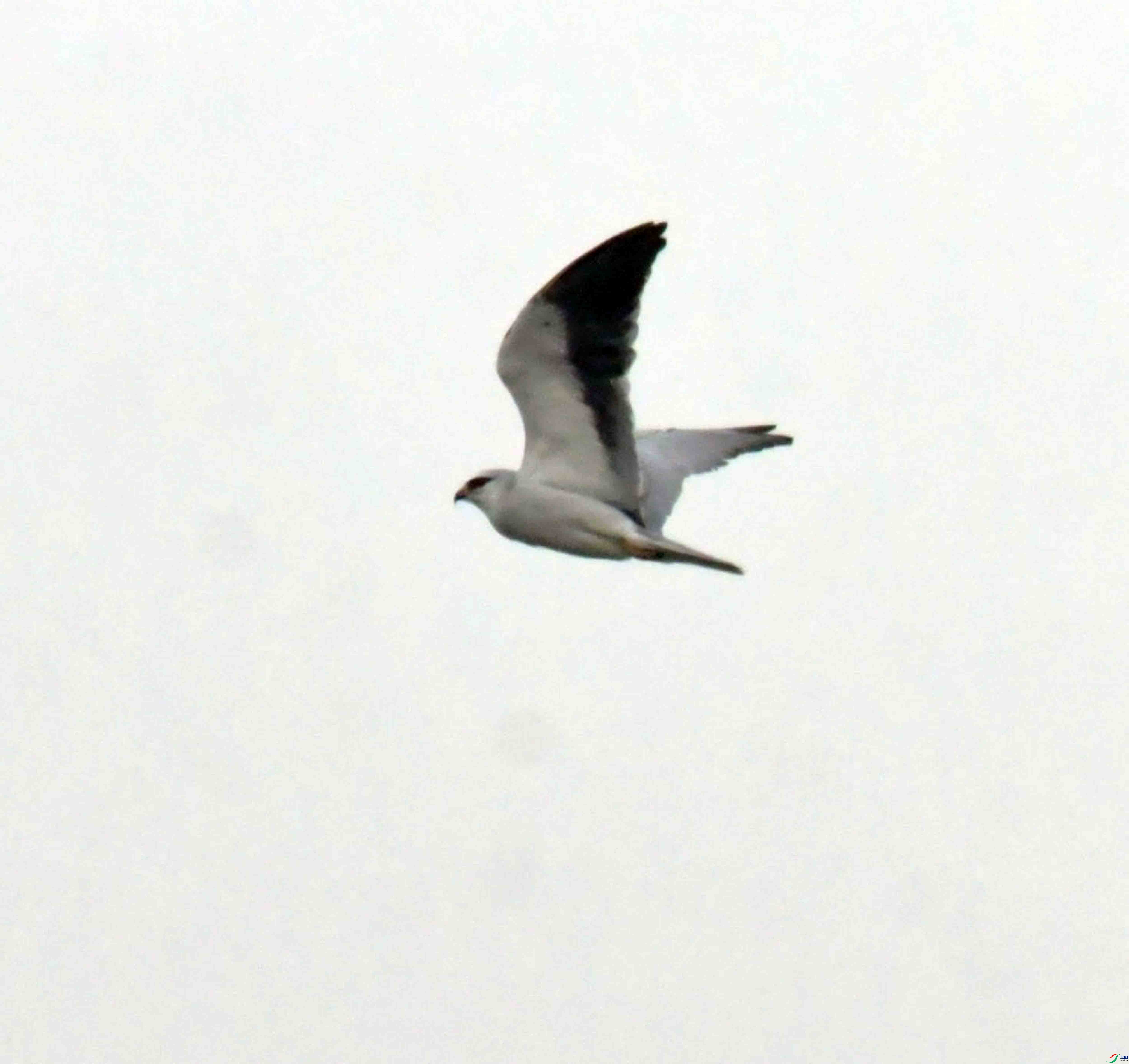 DSC_8438.JPG