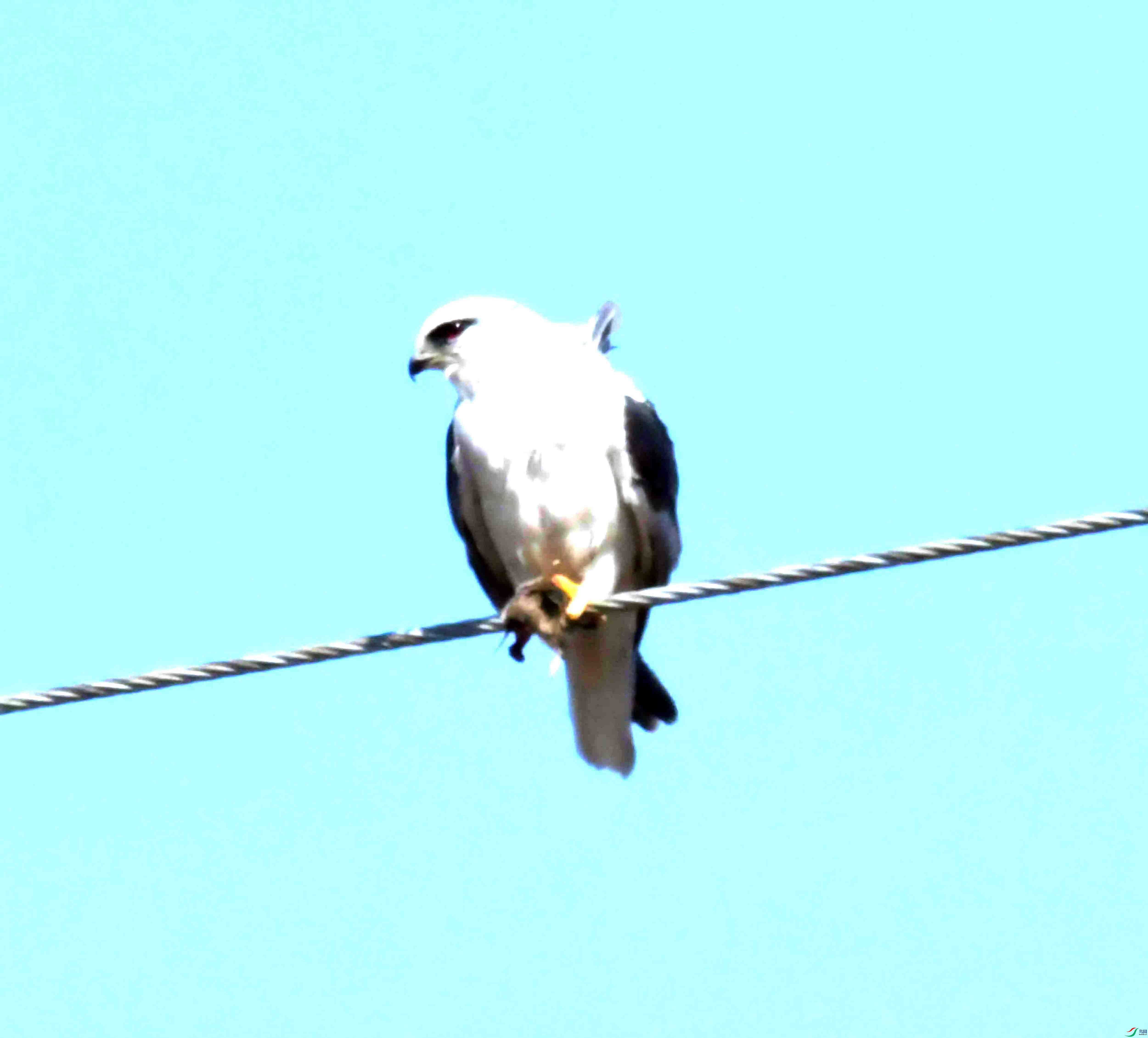 DSC_8471.JPG