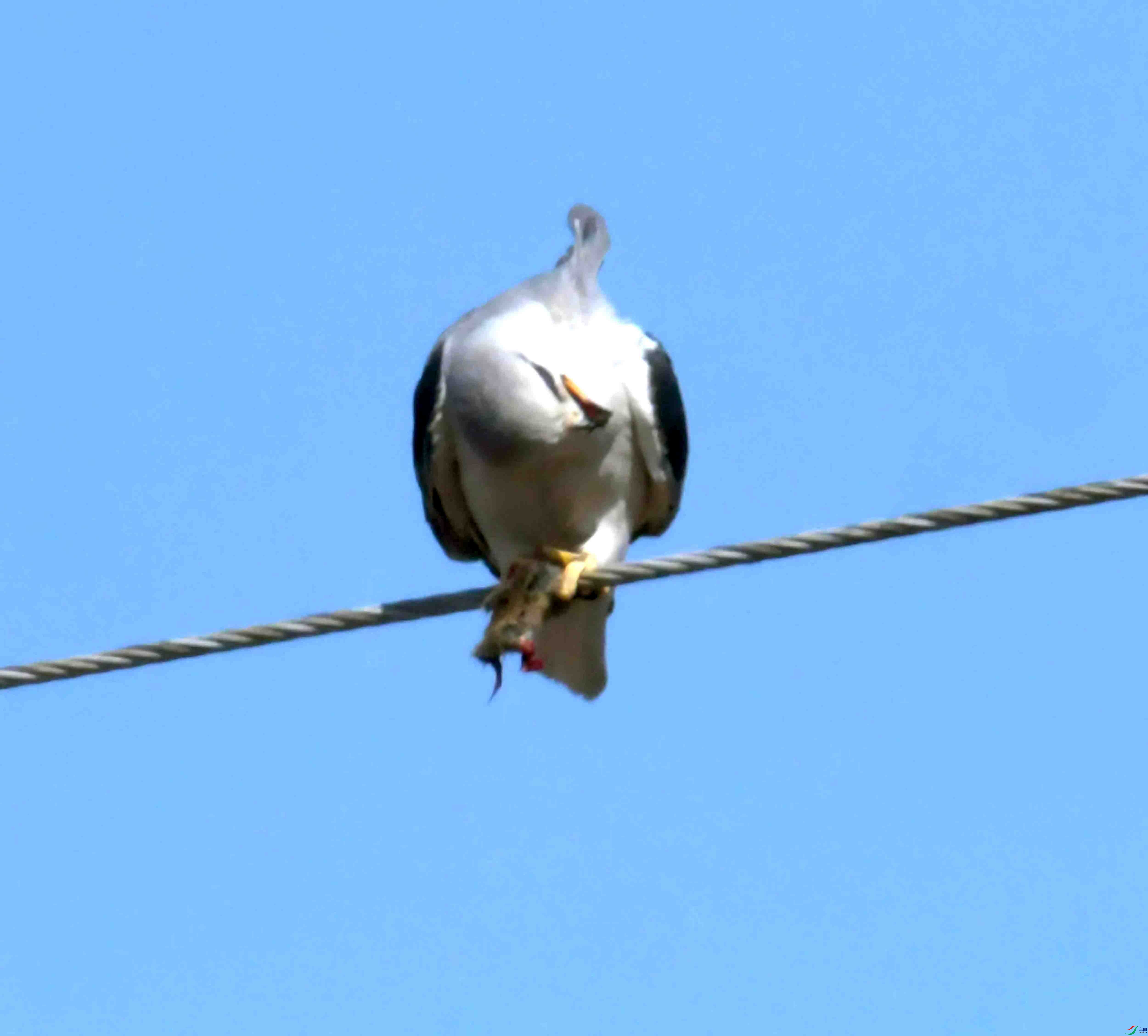 DSC_8455.JPG