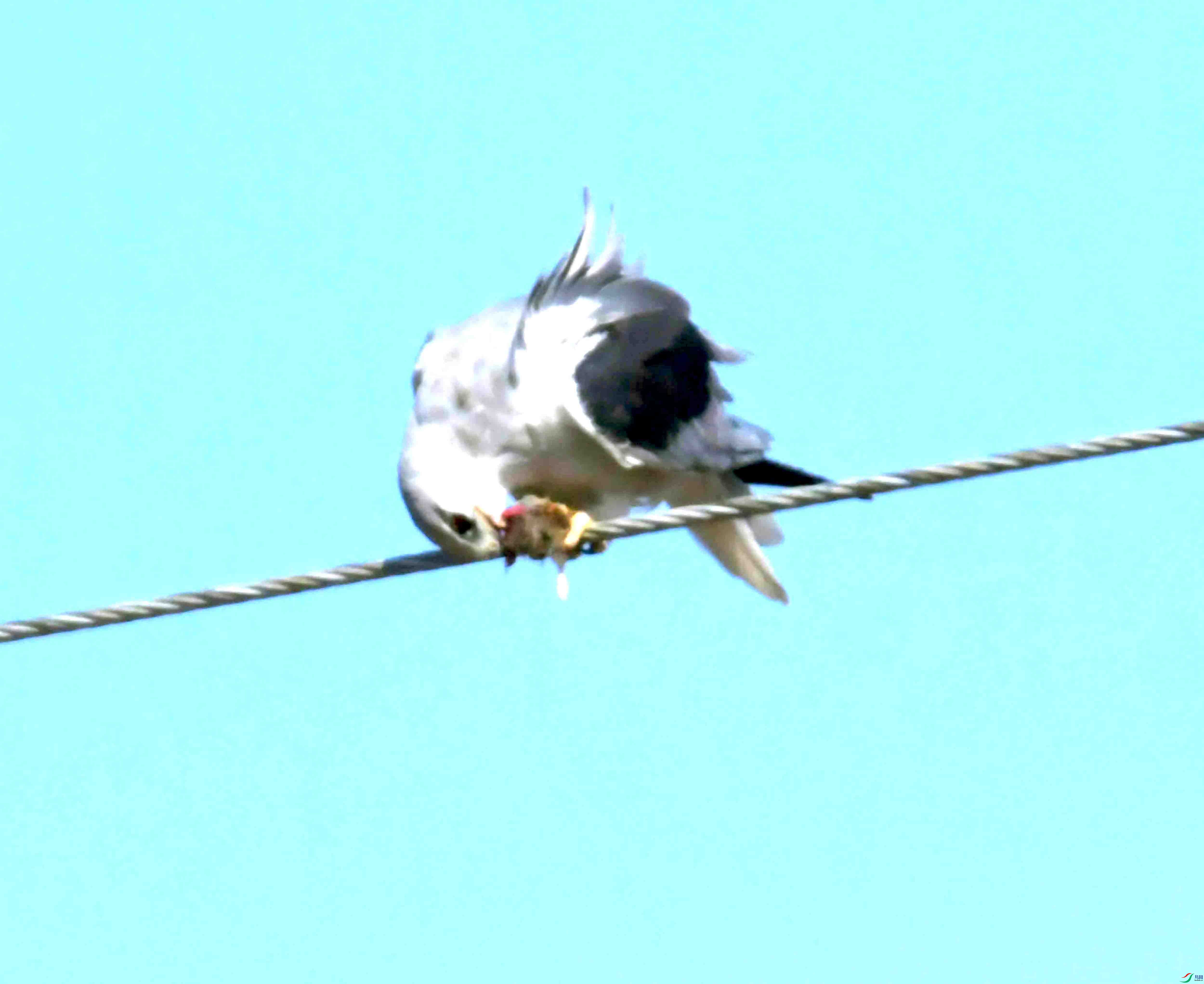 DSC_8480.JPG