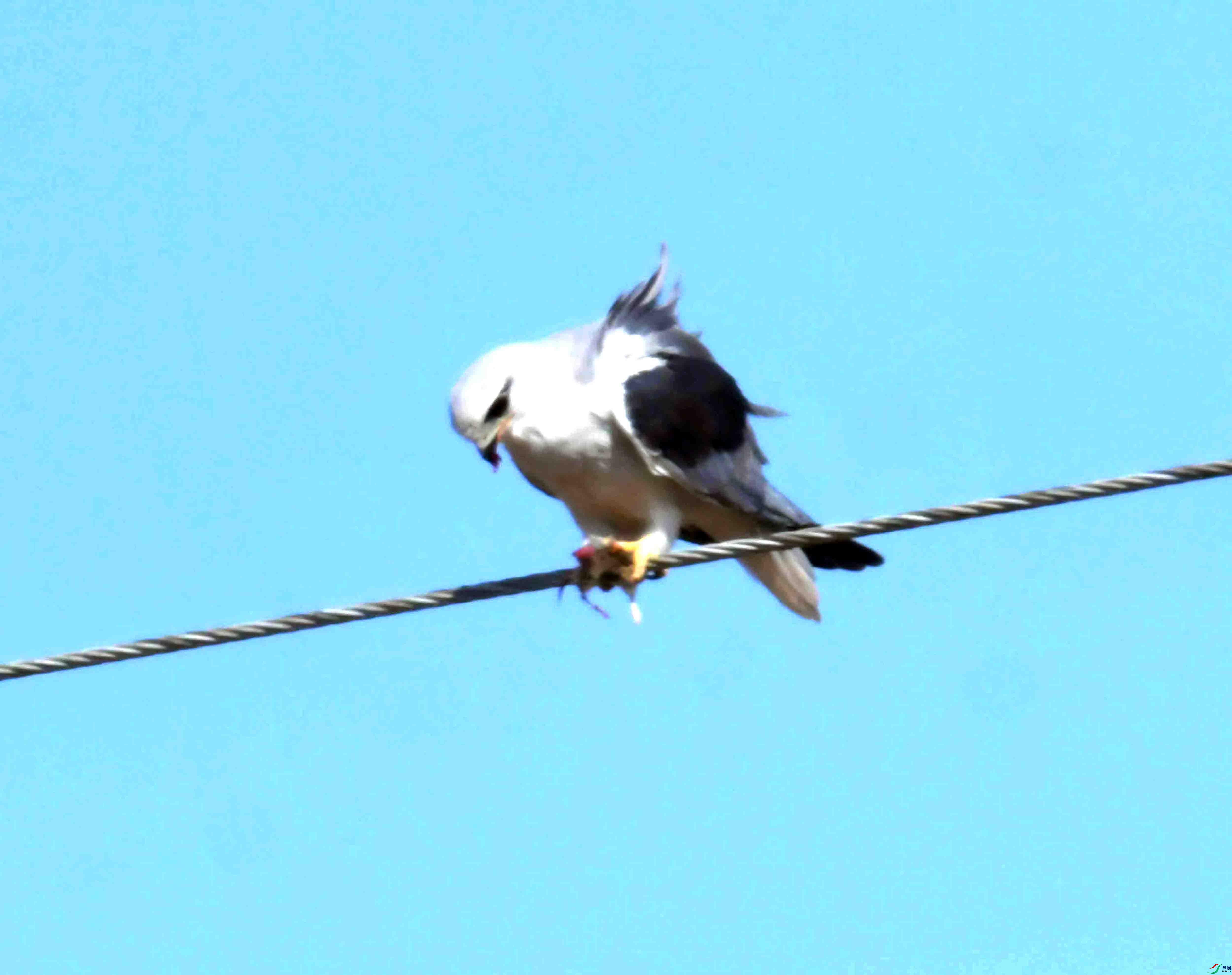 DSC_8505.JPG