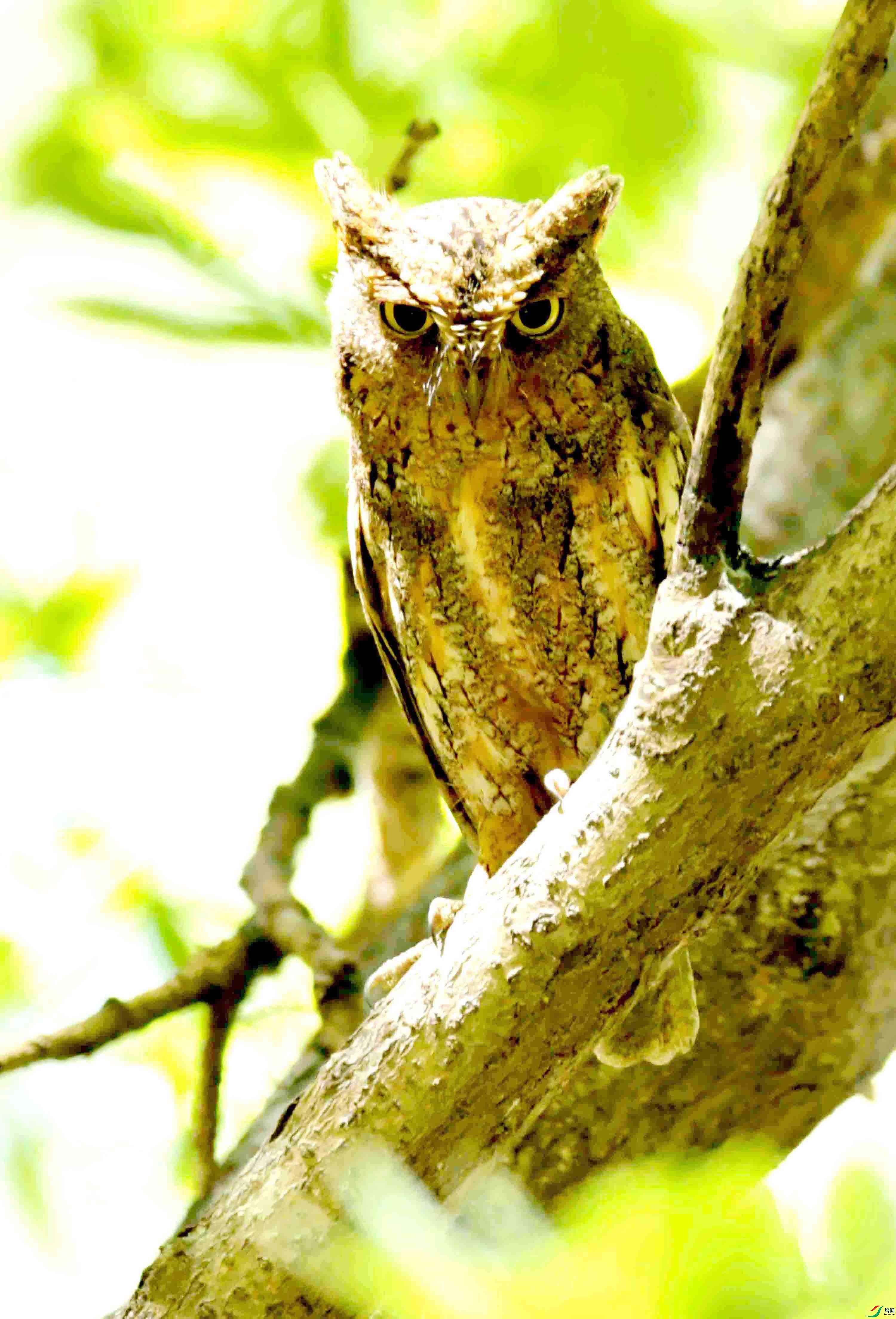 DSC_7996.JPG