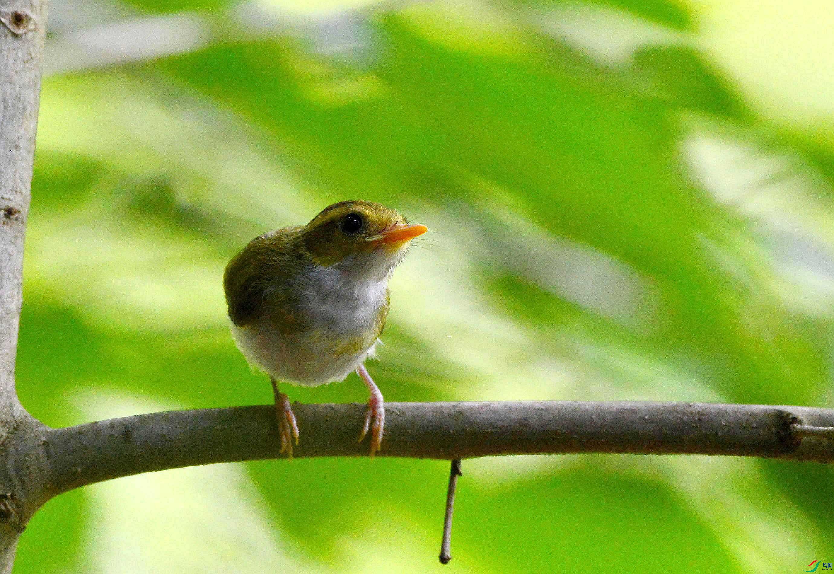 DSC_7367.JPG