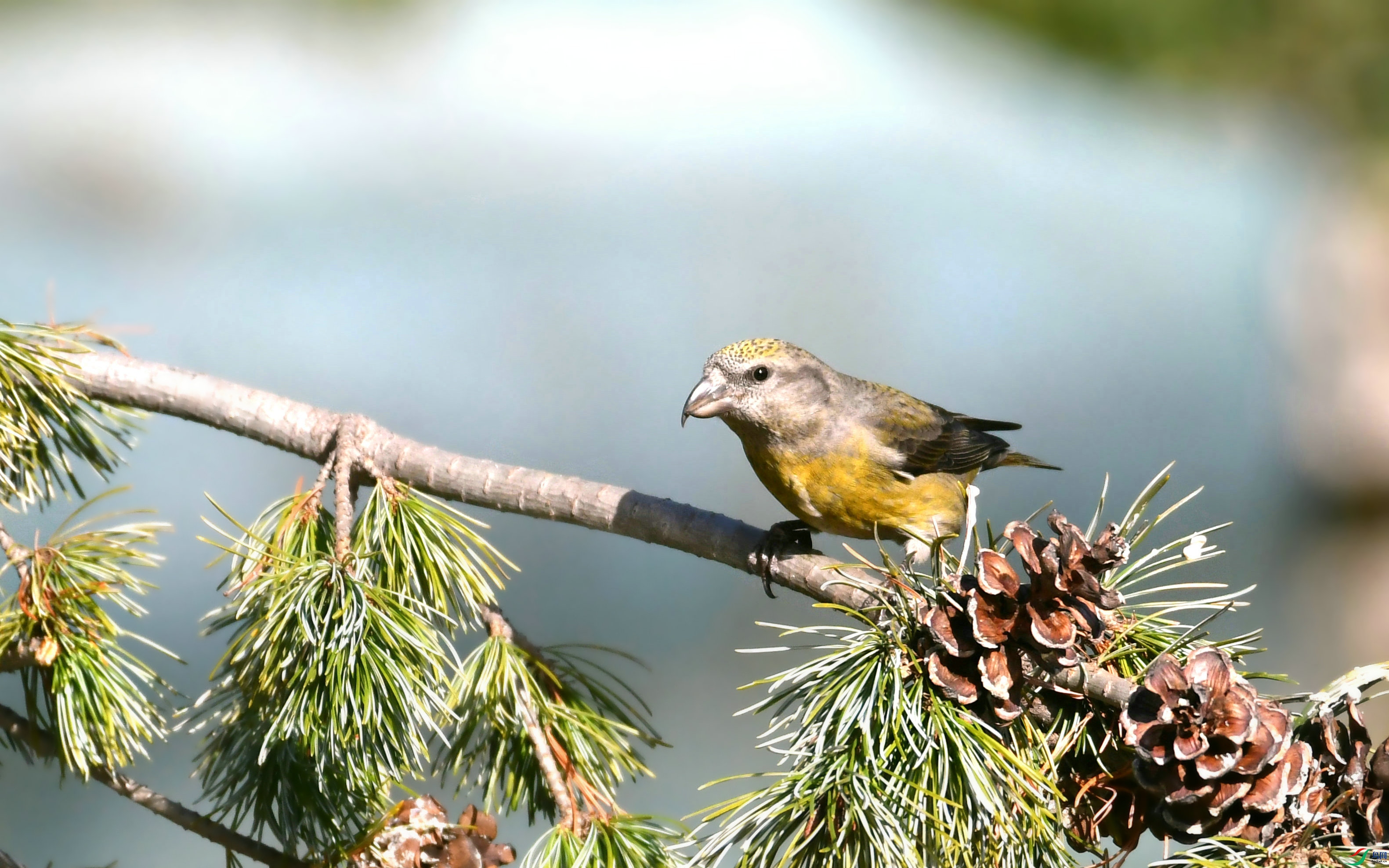 DSC_7281.JPG