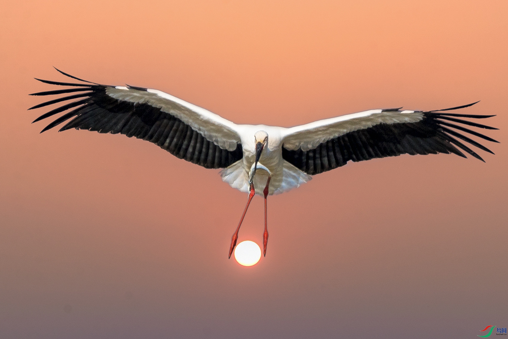 ��������----��ζ���