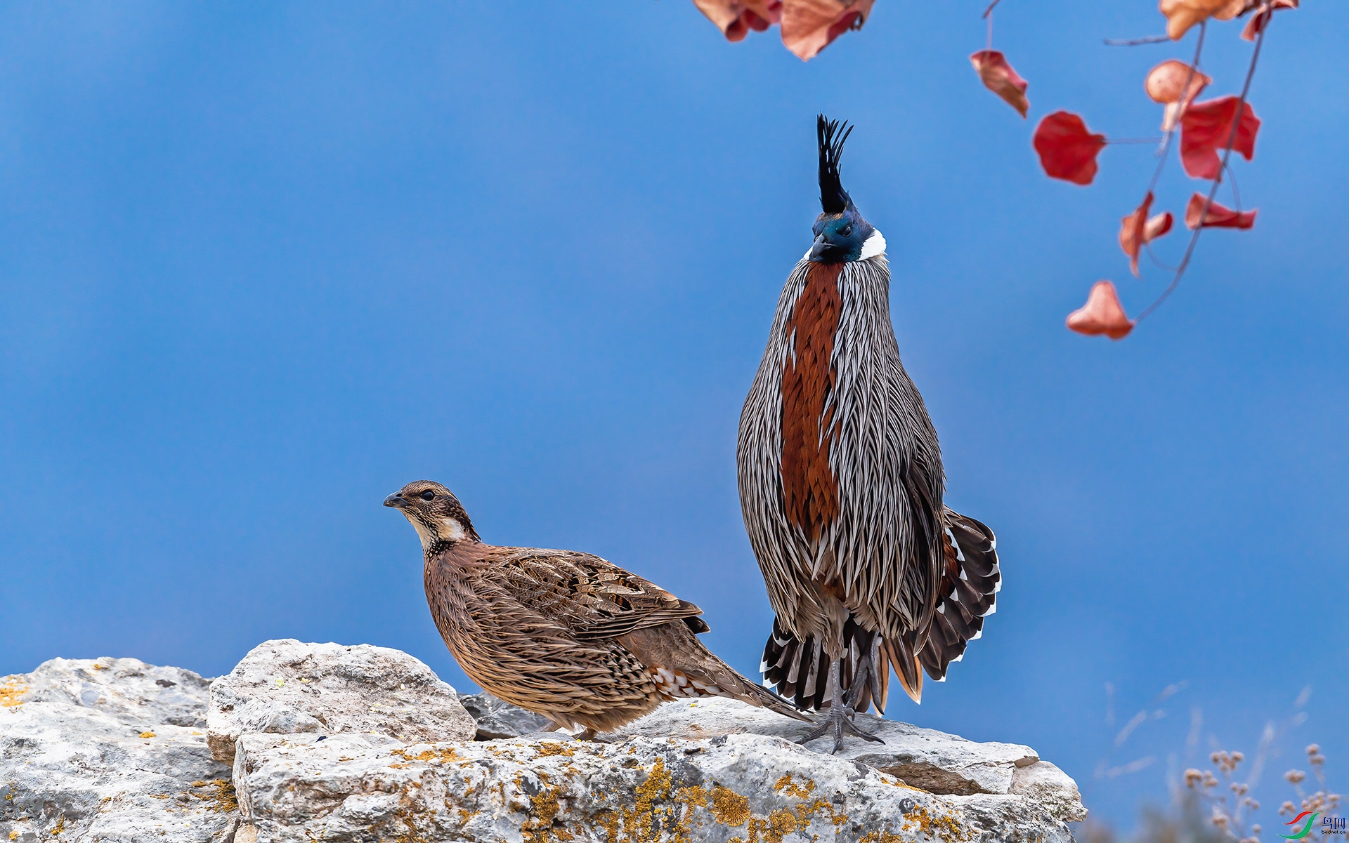 �ļ������׼�) ��ɽ.jpg