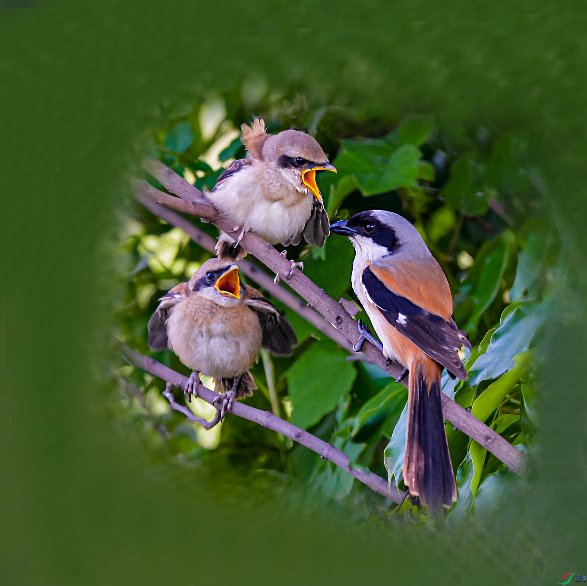 DSC_3893.jpg
