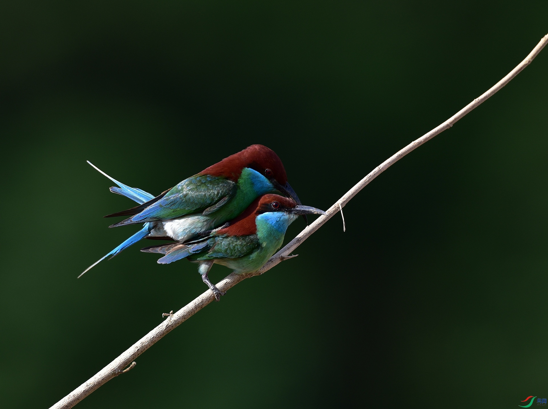 D8I_6047.jpg