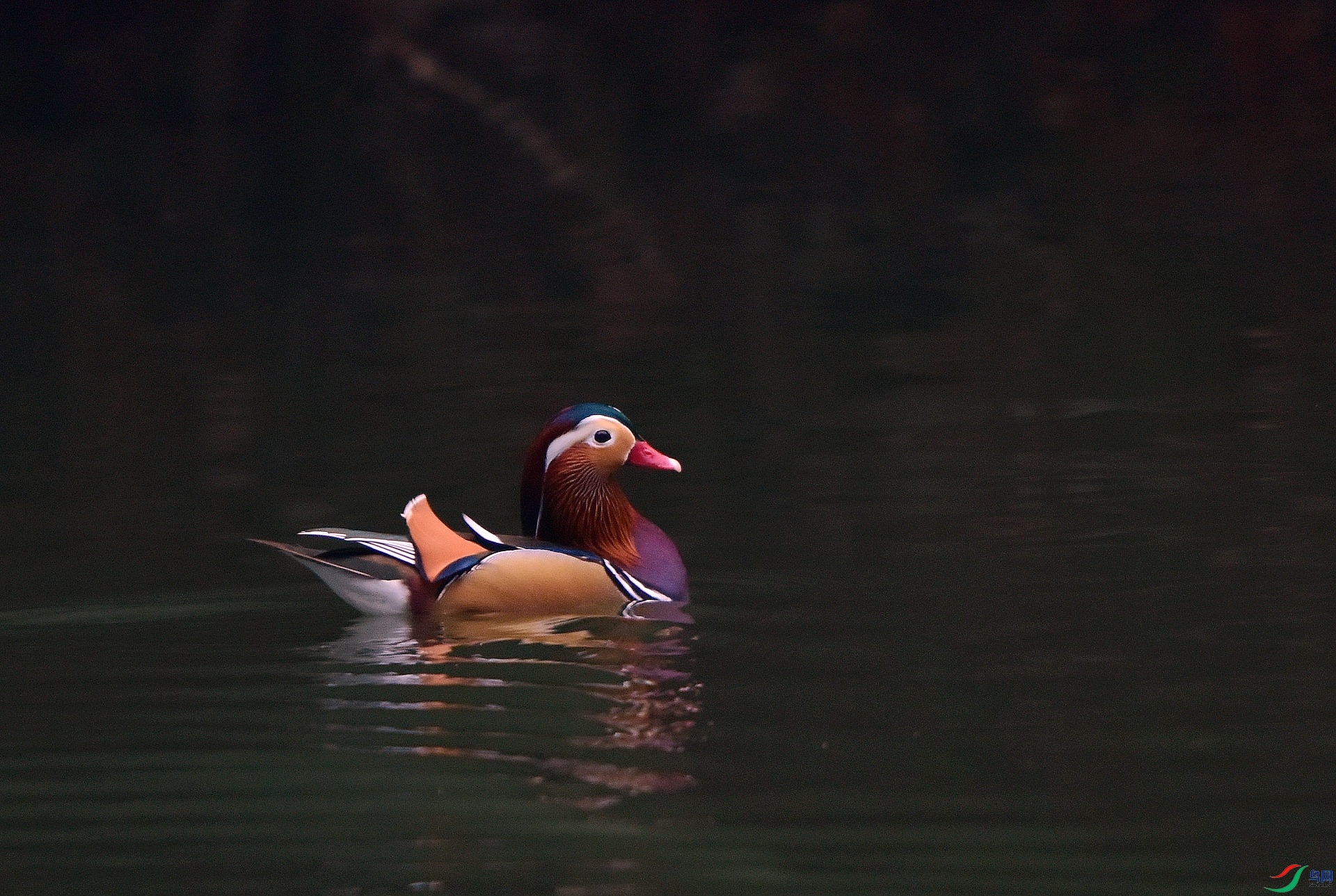 D8I_0698.jpg