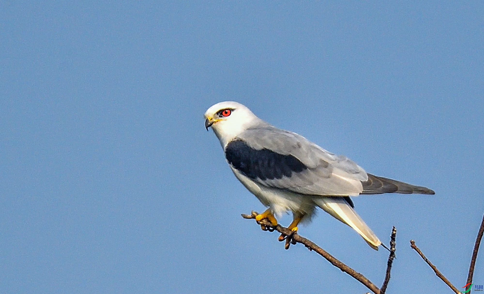 DSC_9880.jpg