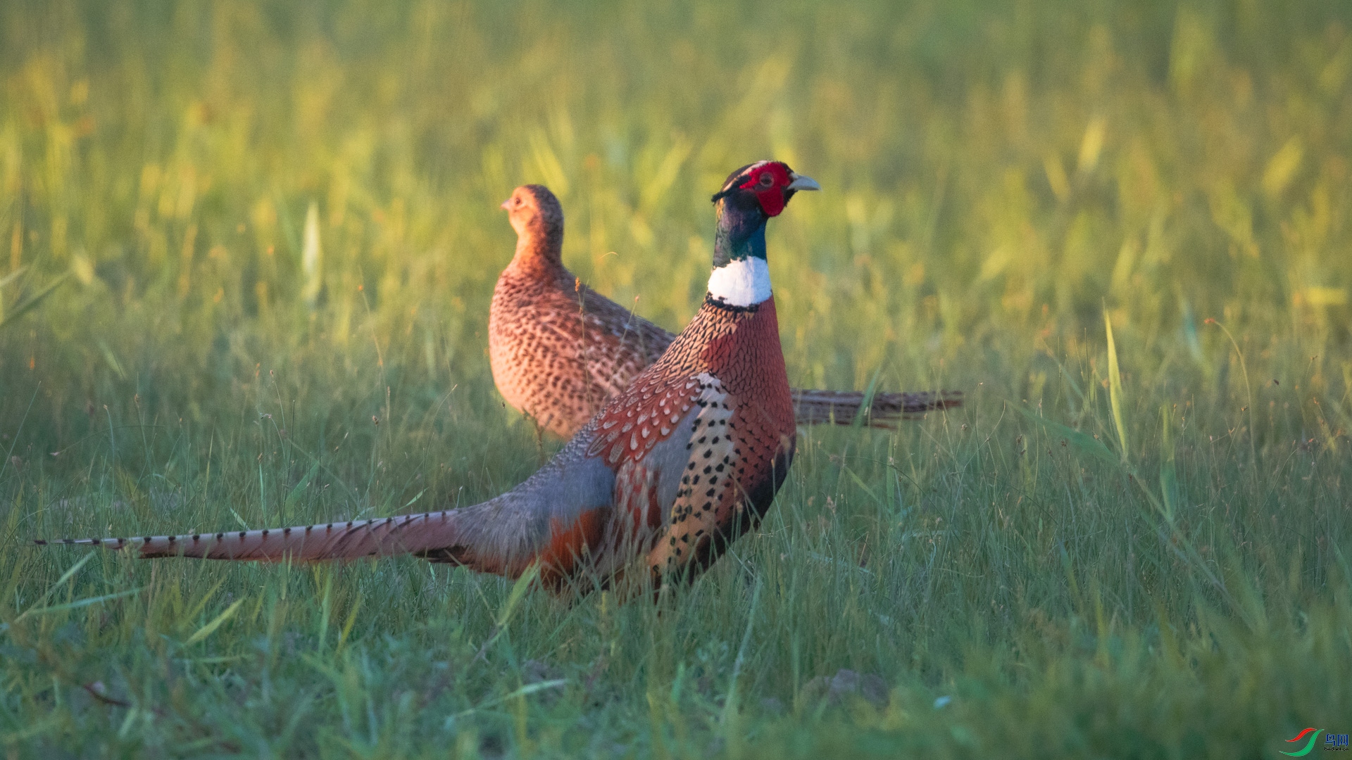 ����ͬ��