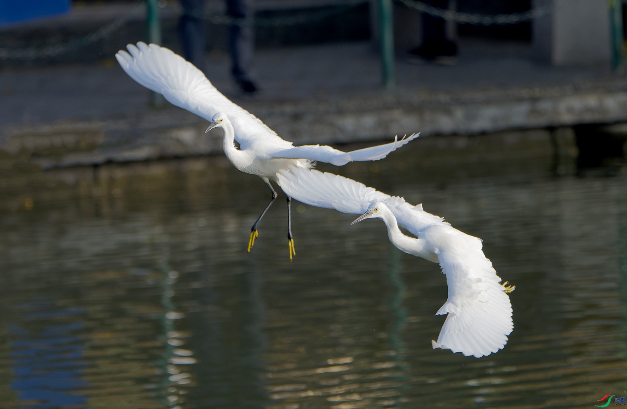 DSC_6145.jpg