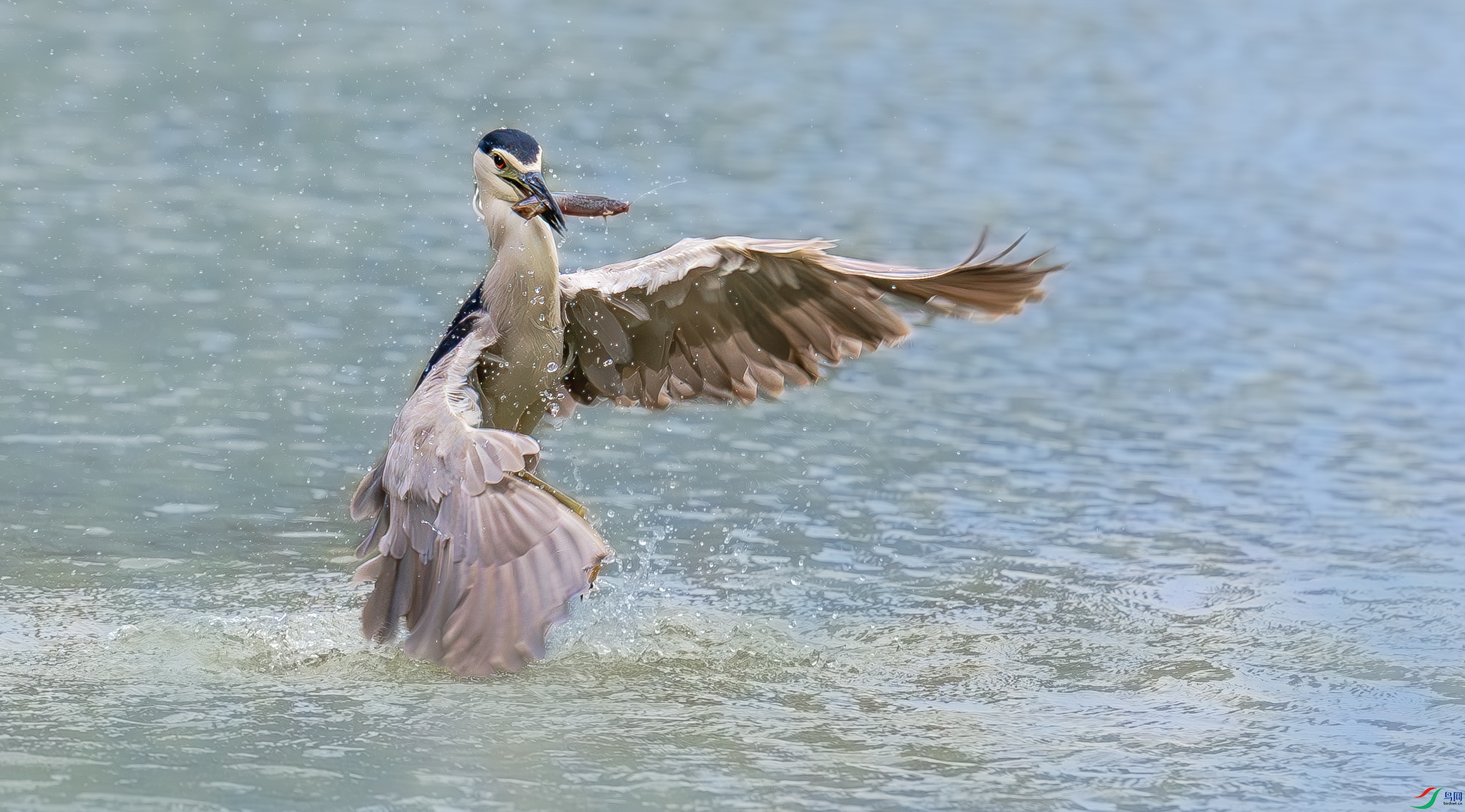 _YH_3079-����ǿ-NR-11.jpg