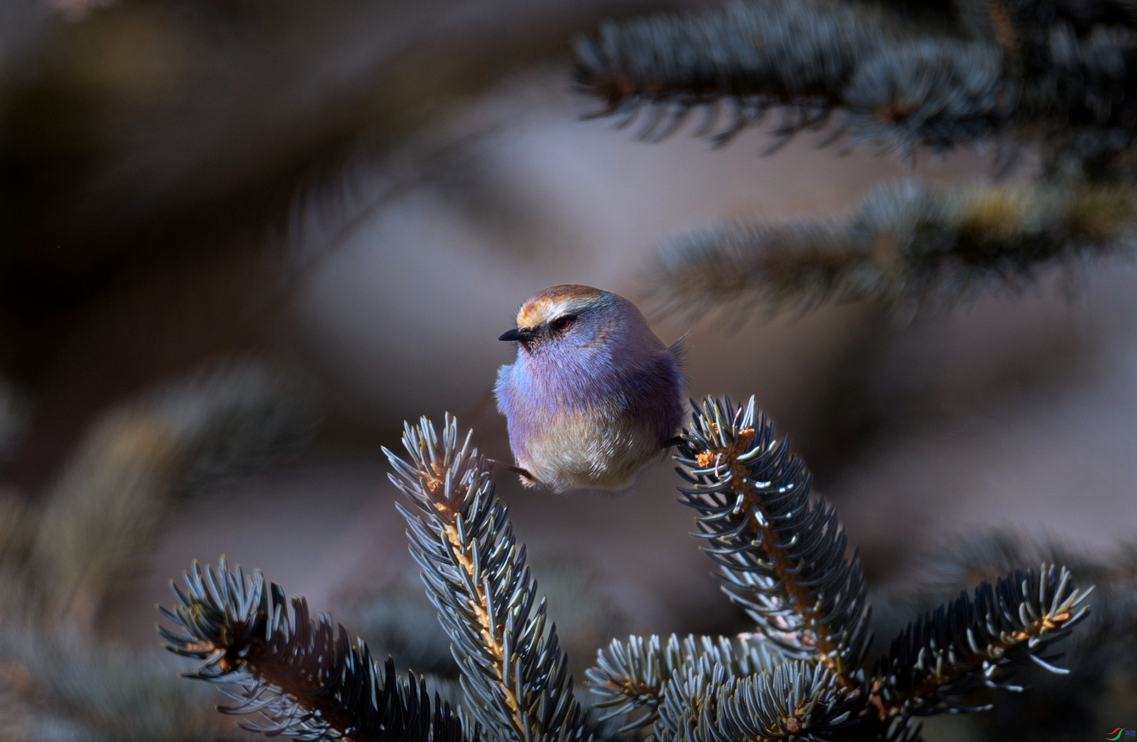 ����ȸݺ2023.12 - ����.jpg