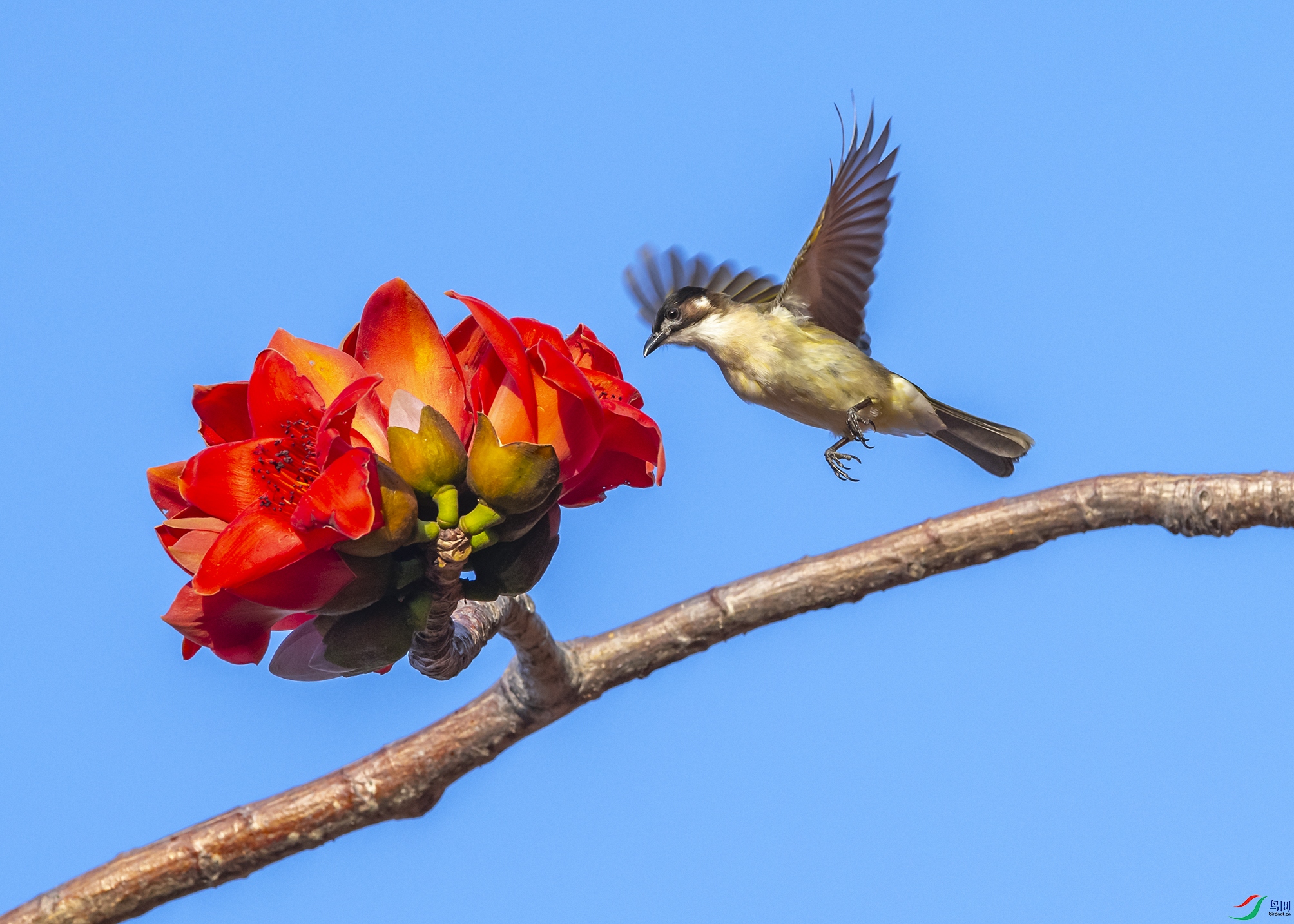 2362 ����.jpg