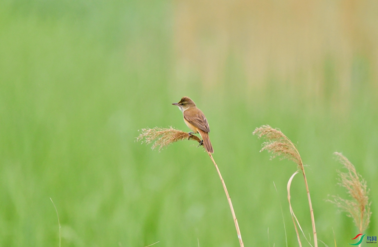 DSC_3046f_��ͼ��.jpg