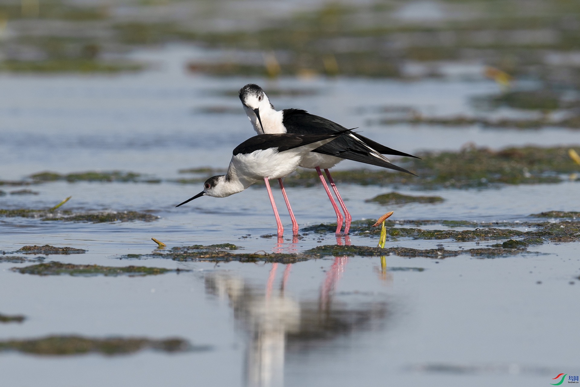 XQD_7981 ����.jpg