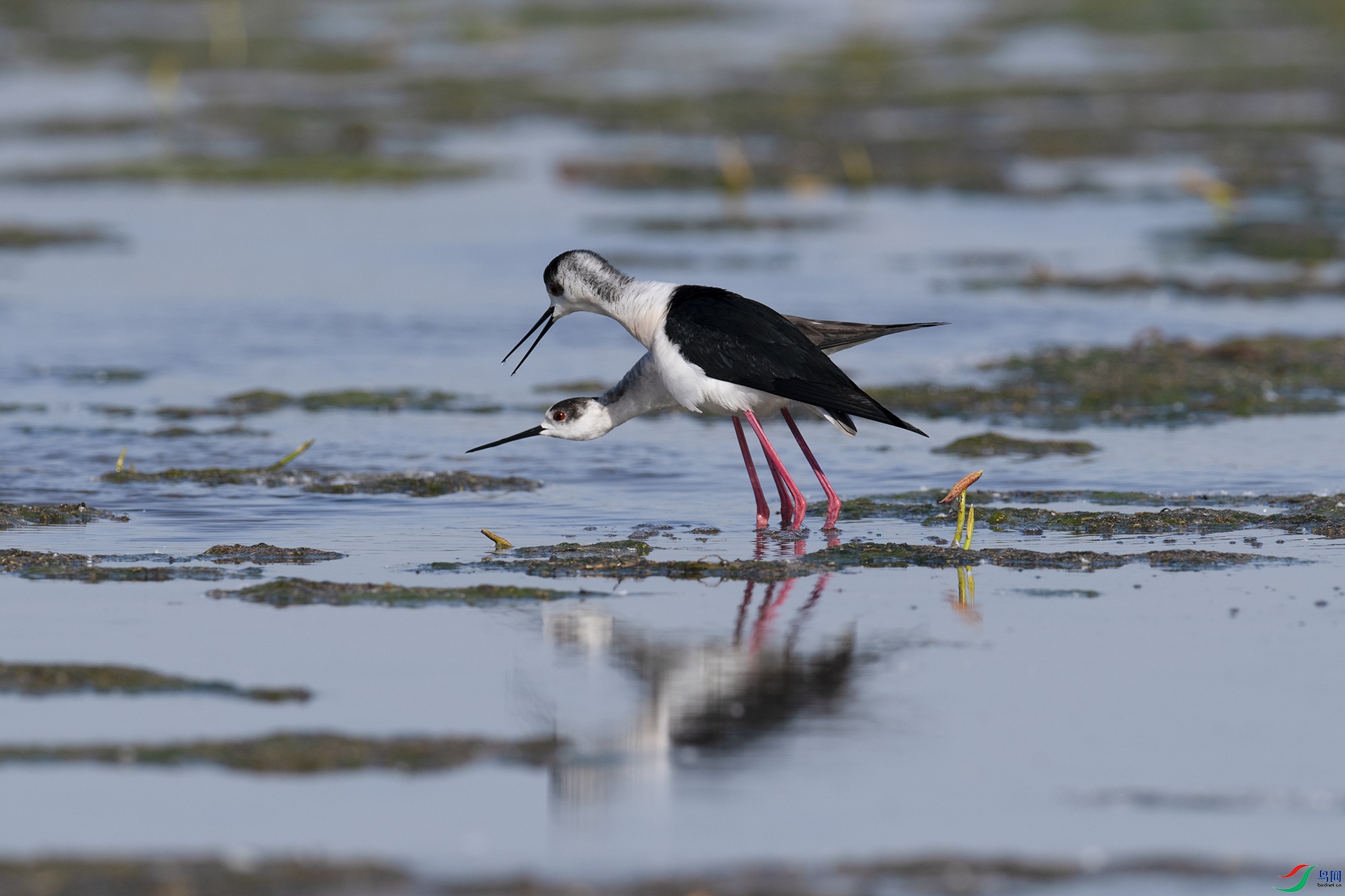 XQD_7989 ����.jpg