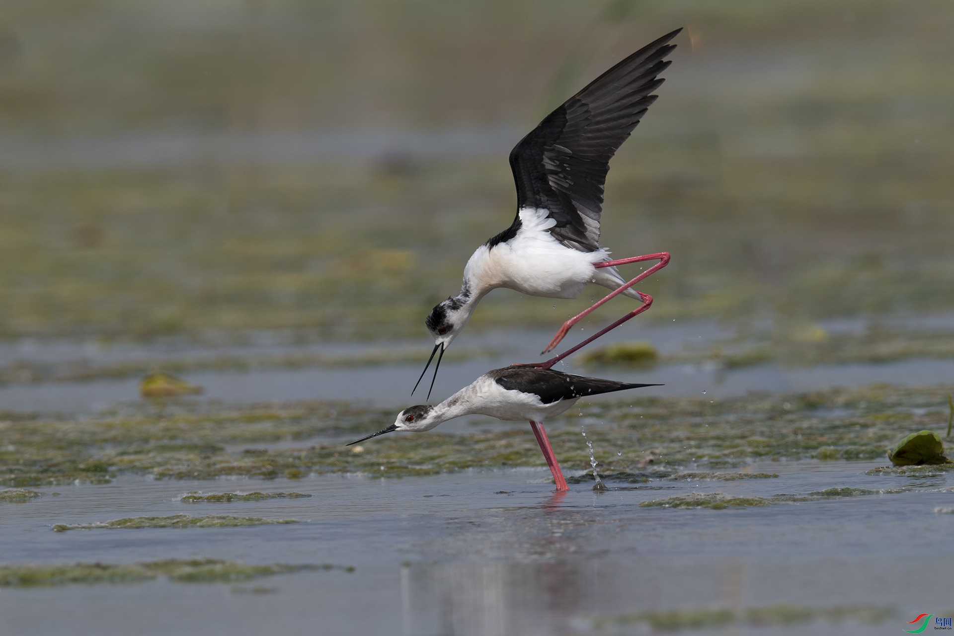 XQD_9248 ����.jpg