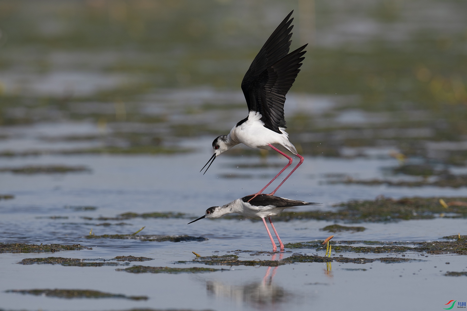 XQD_7995 ����.jpg