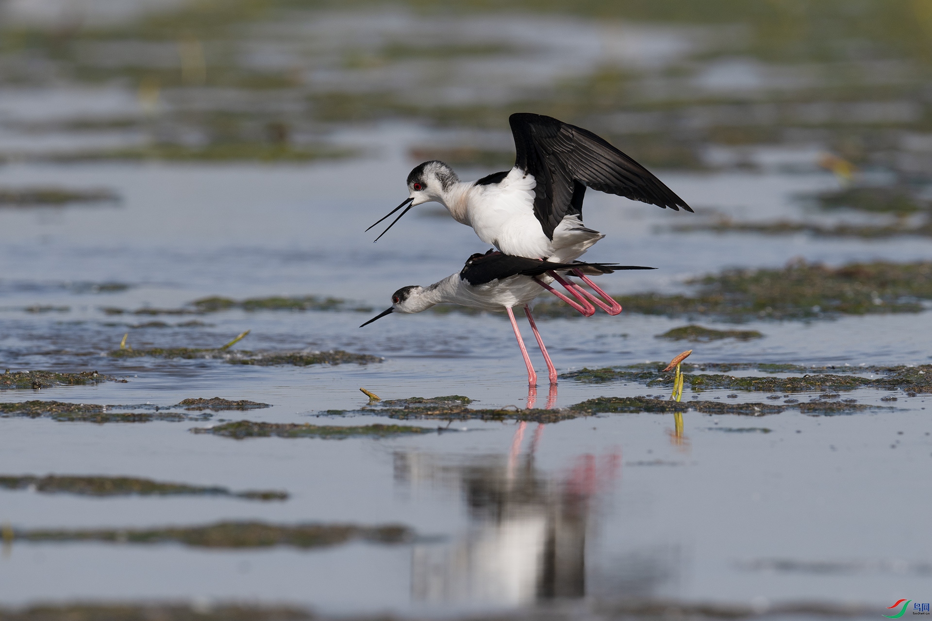 XQD_8029 ����.jpg