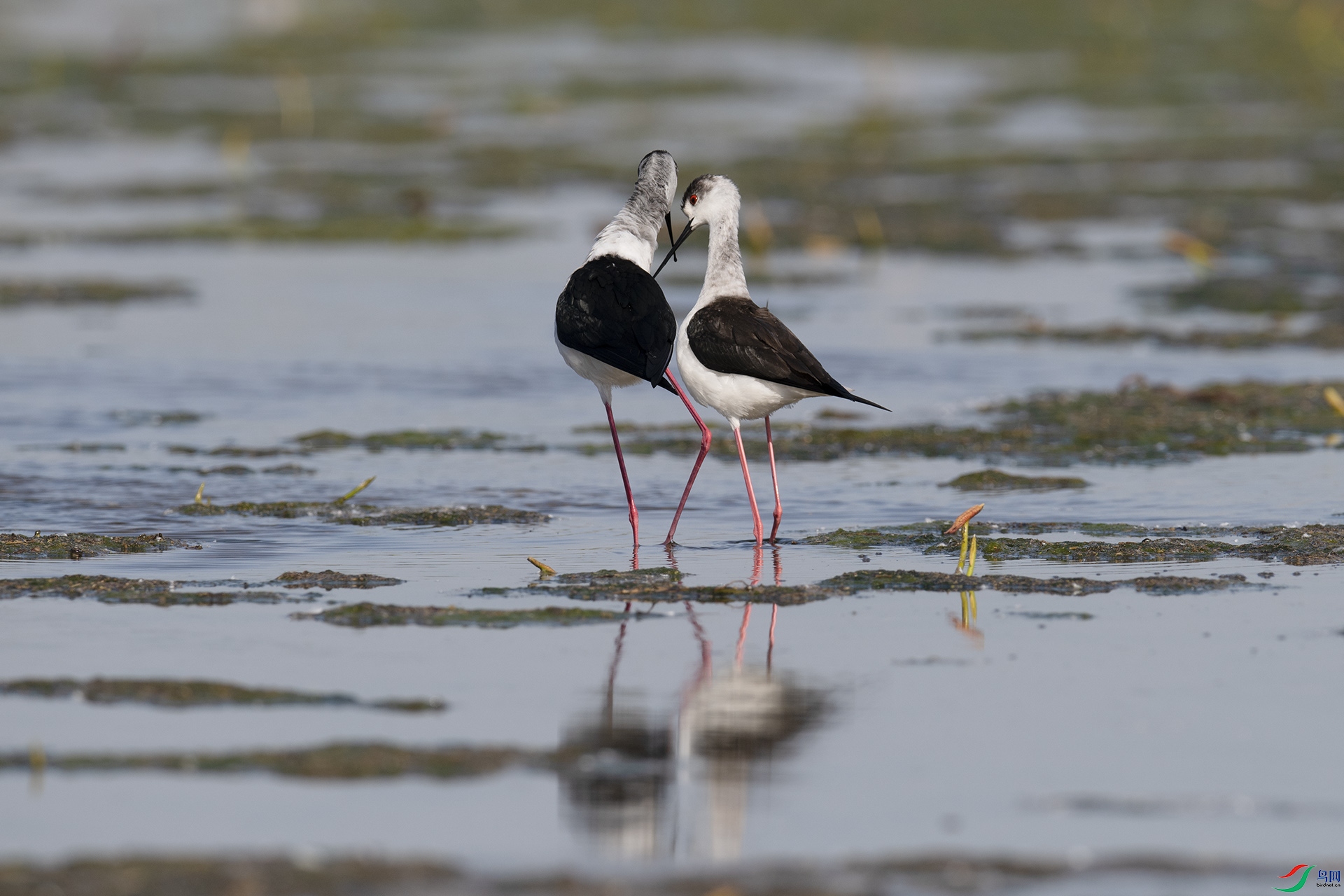 XQD_8043 ����.jpg