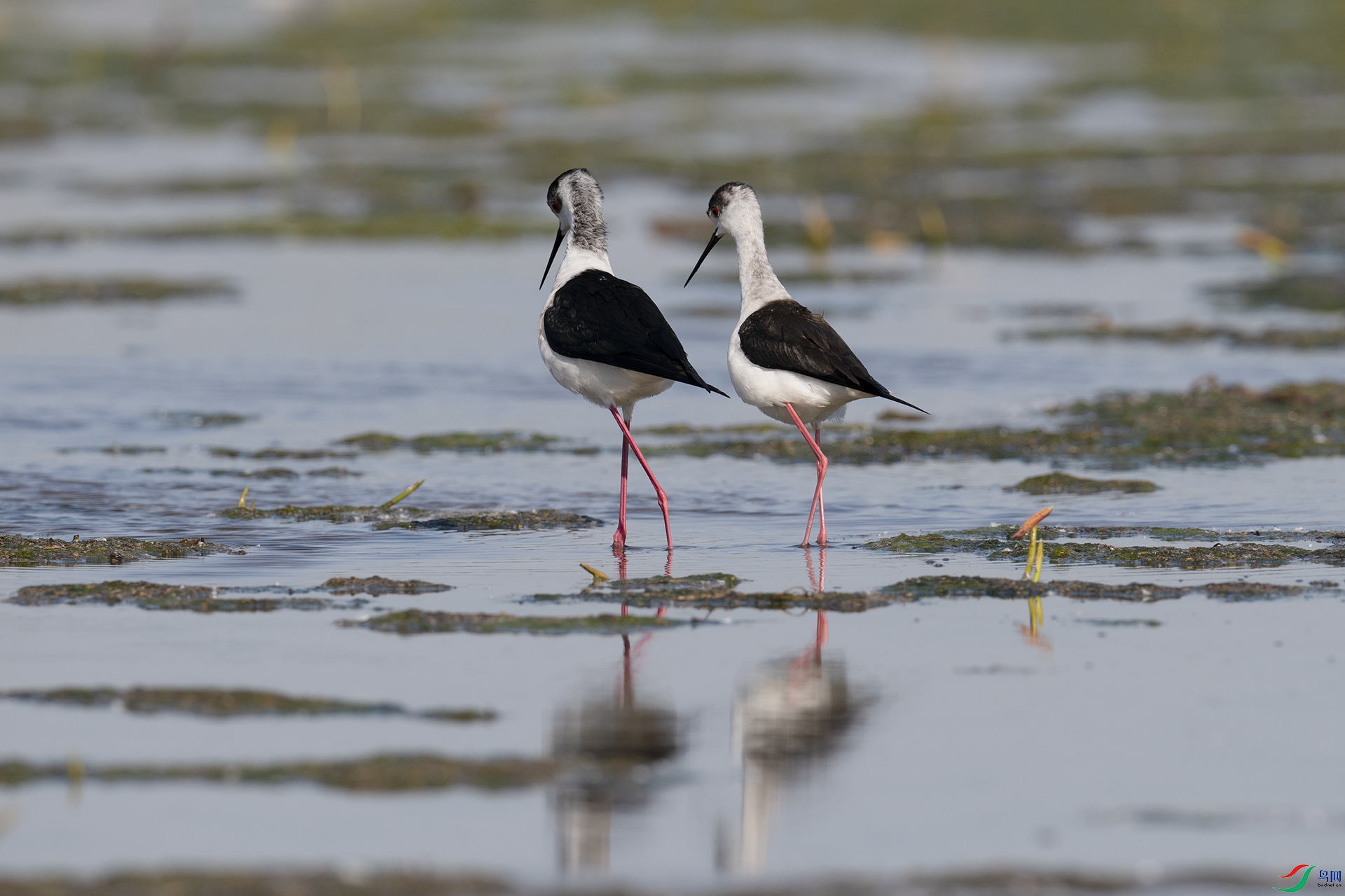 XQD_8044 ����.jpg