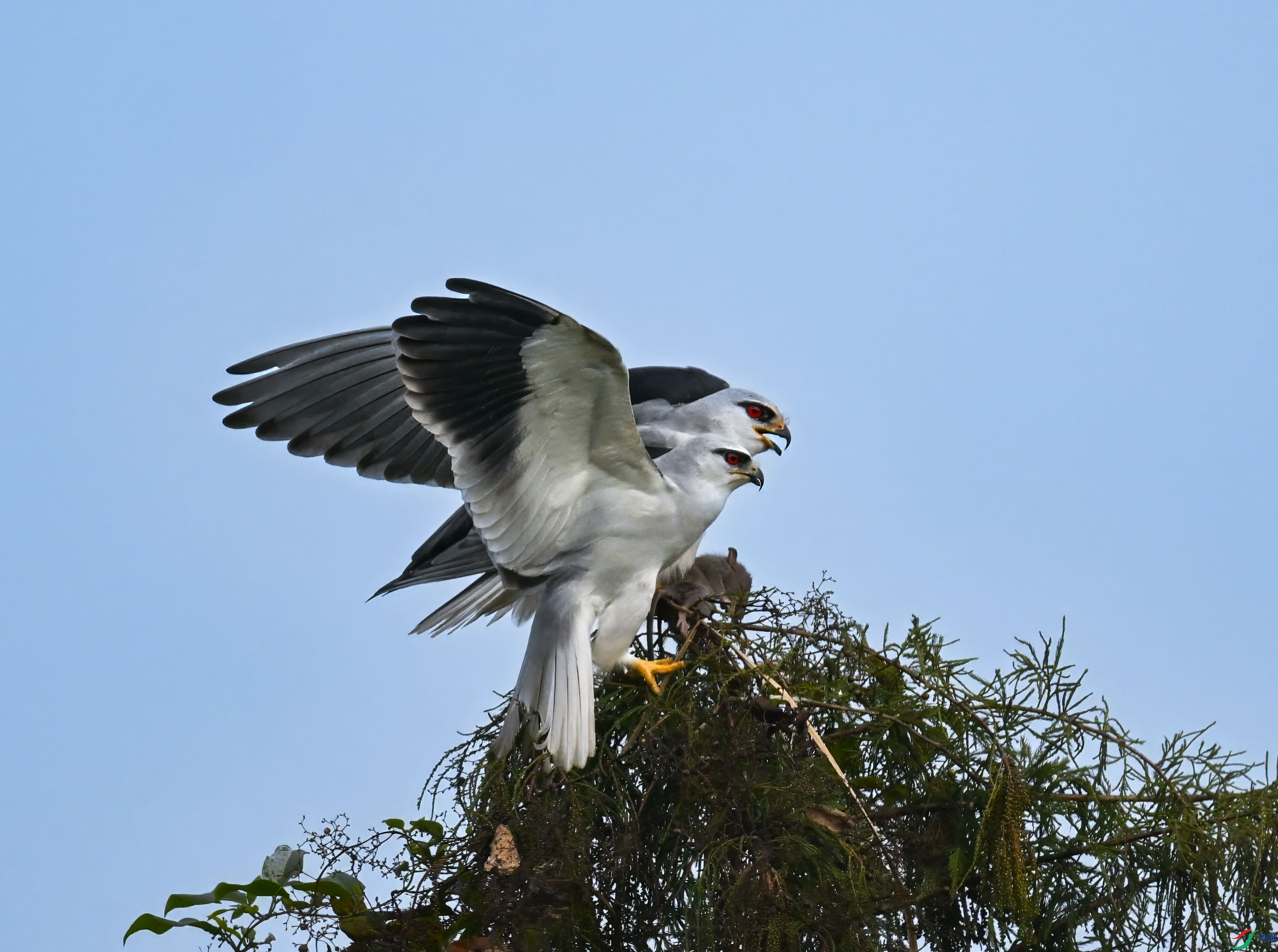 DSC_1745_����1.jpg
