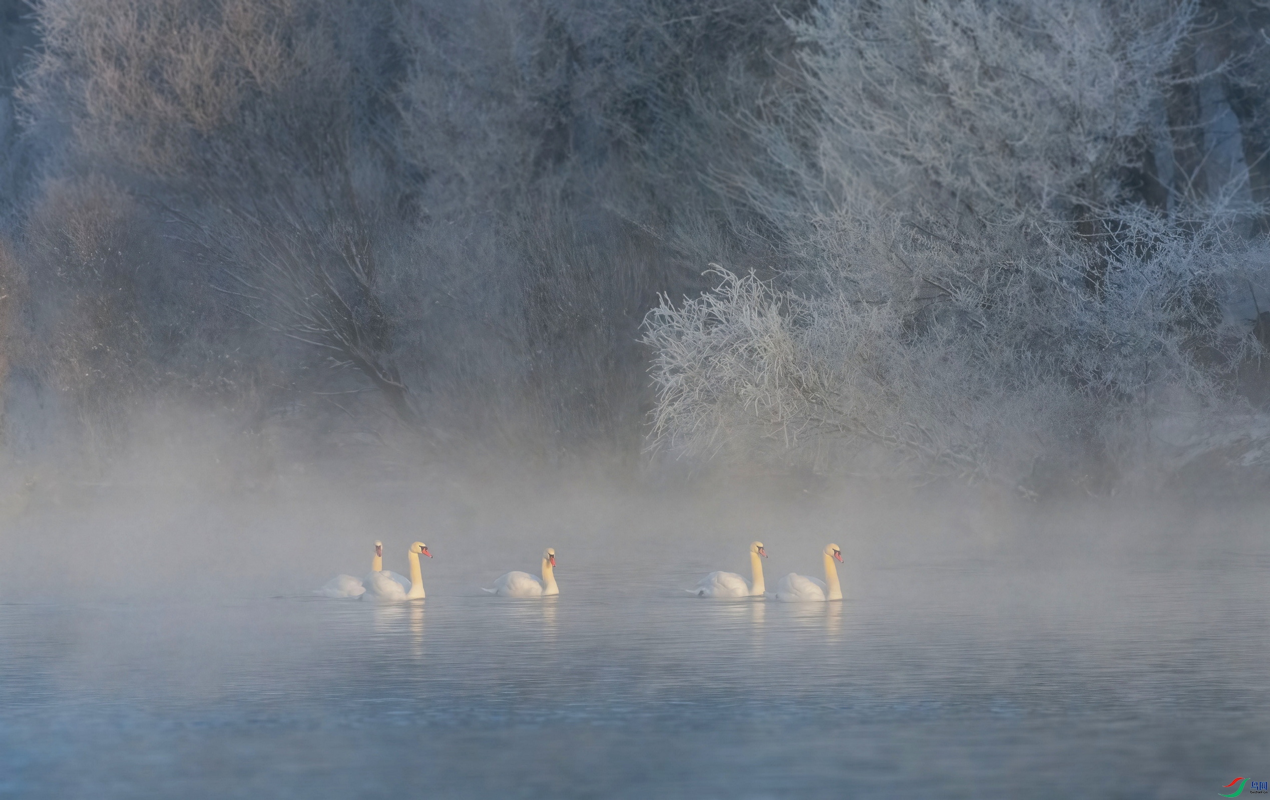 DSC_6856 ���� 3F001.jpg