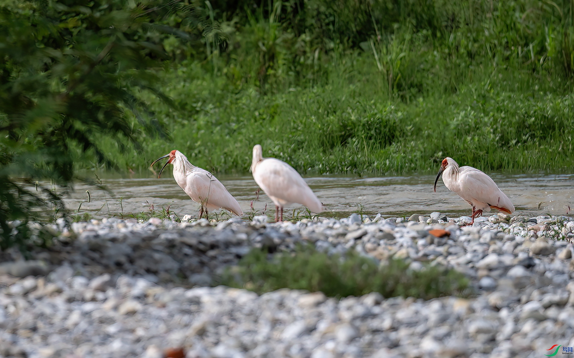 DSC_4932.jpg