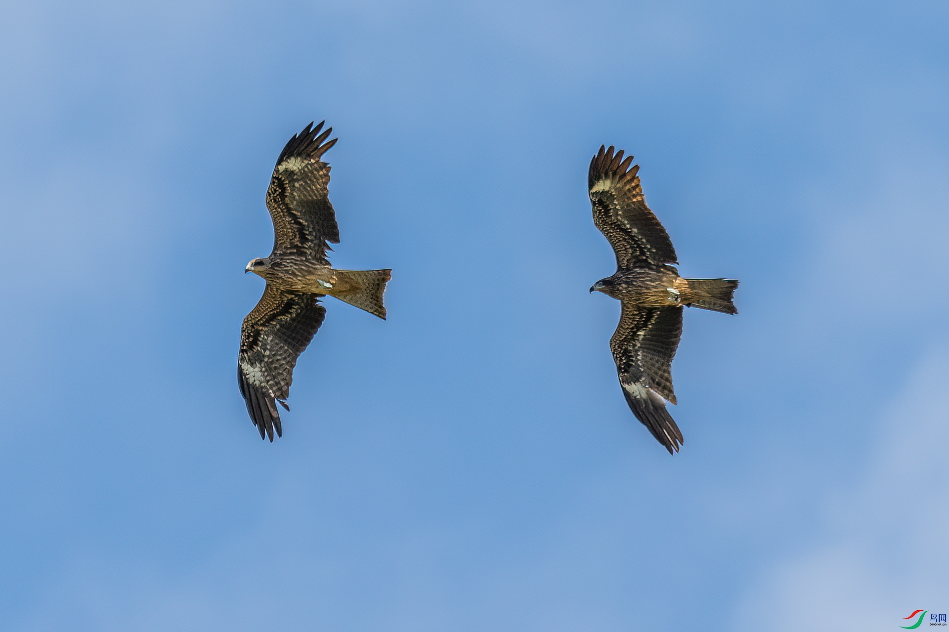 DSC_0175.jpg