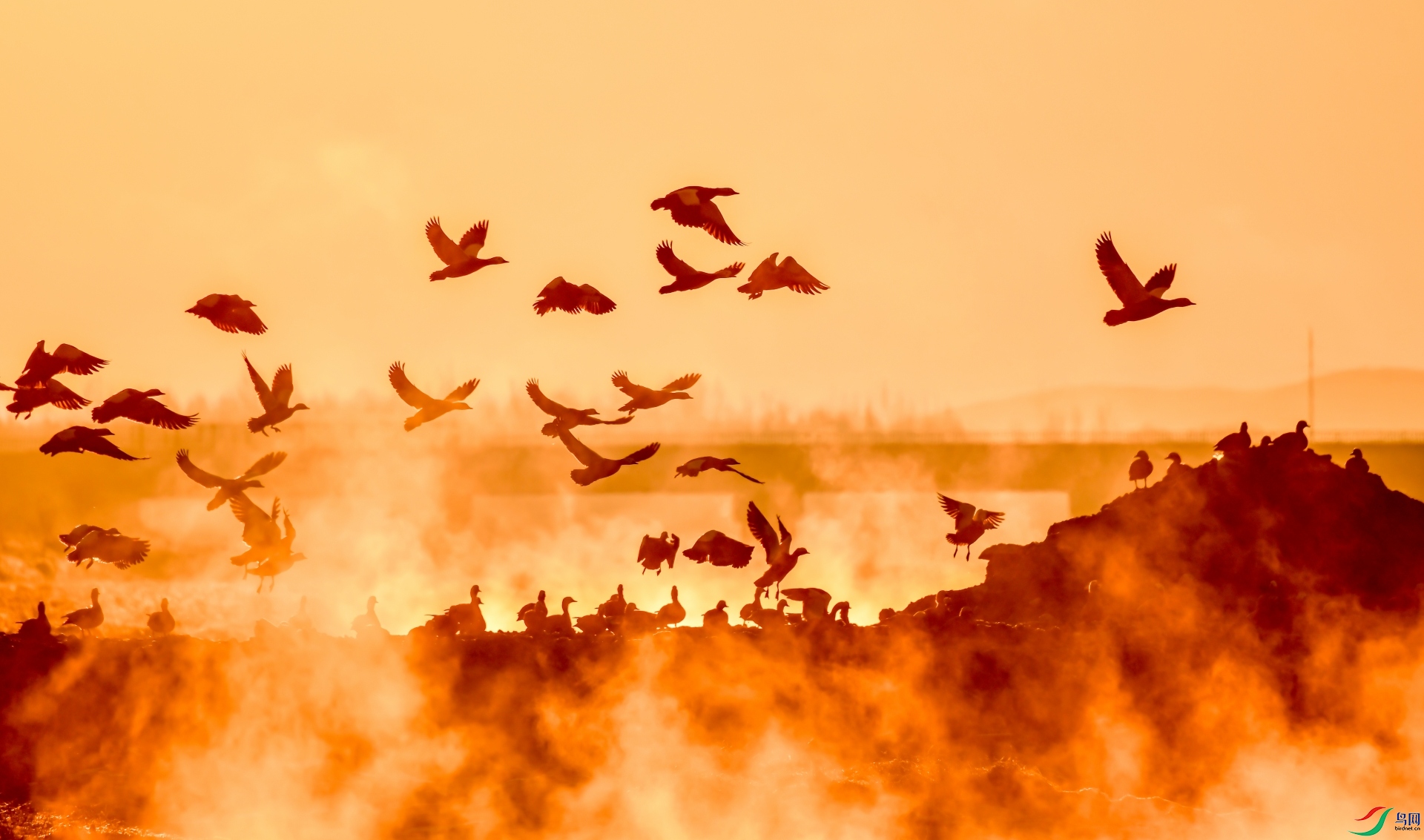 ���裨����