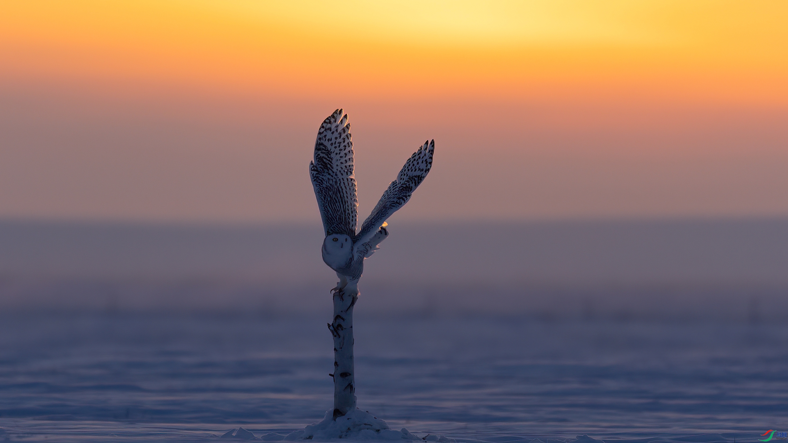 0G4A1781 ����.jpg