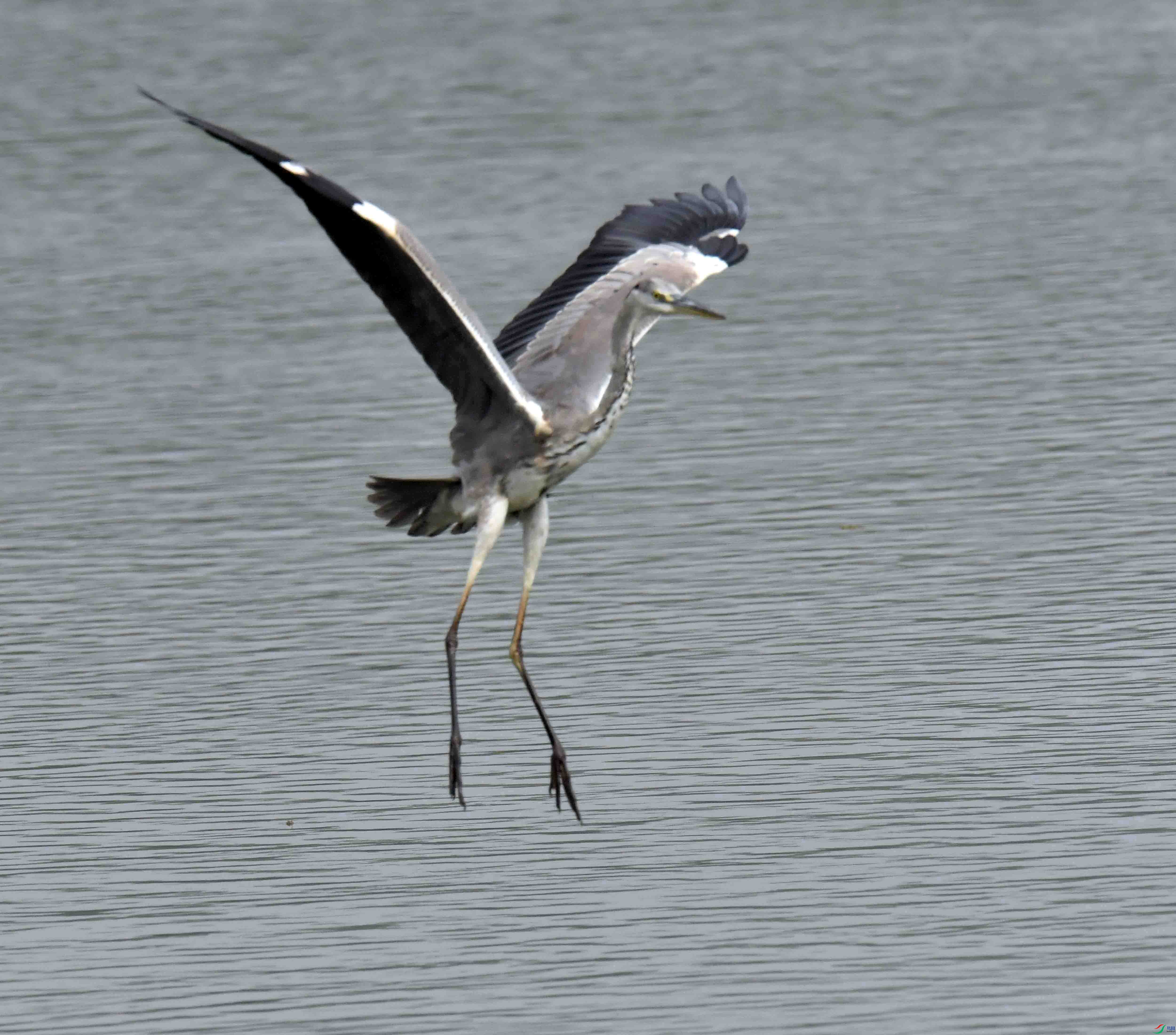 DSC_1607.JPG