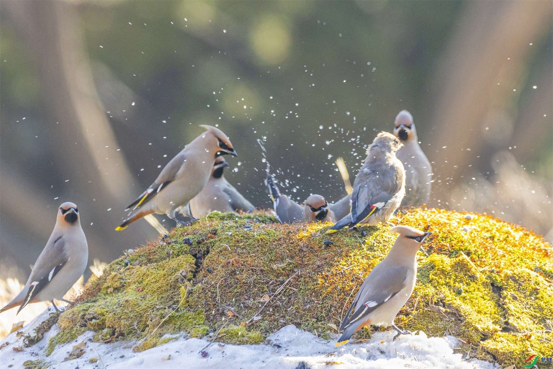 1K3A2478 ����1.jpg