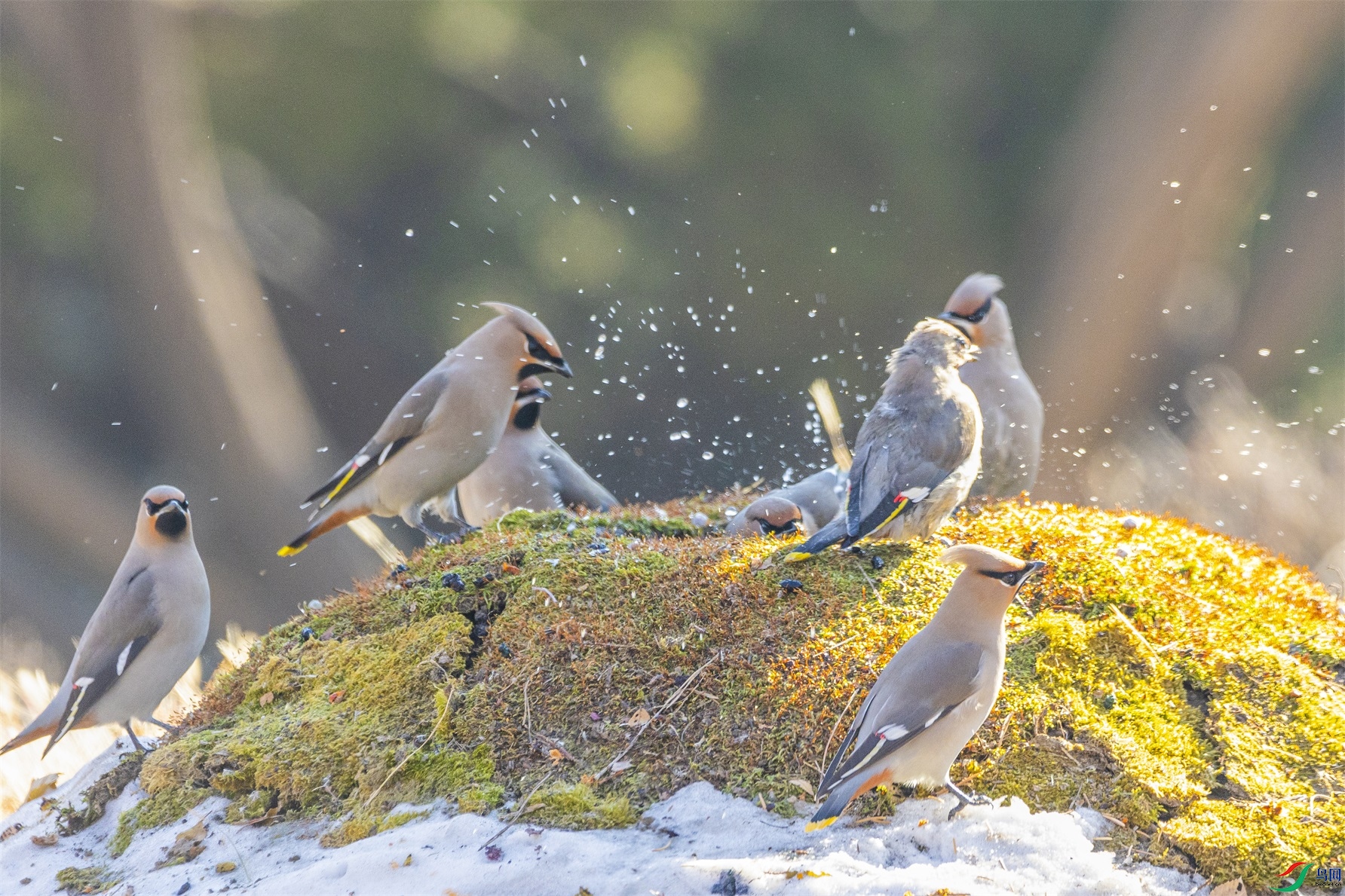 1K3A2477 ����1.jpg