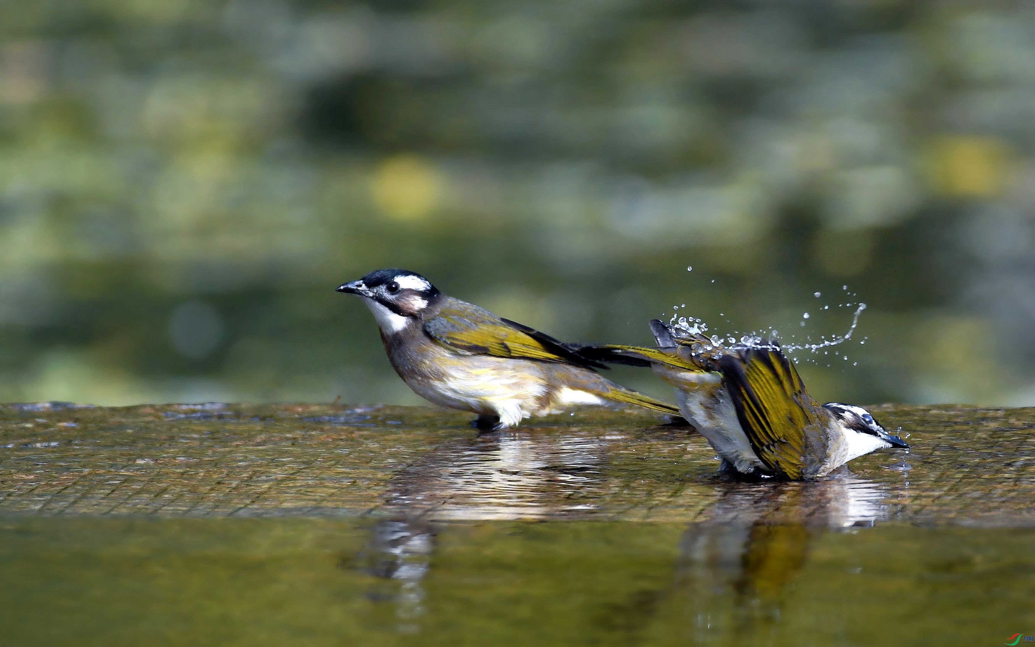 DSC_8836.JPG